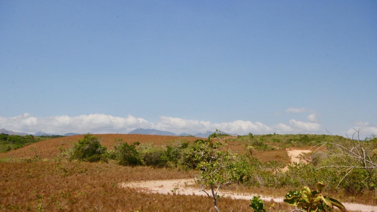 res-00005cbe-16.jpg