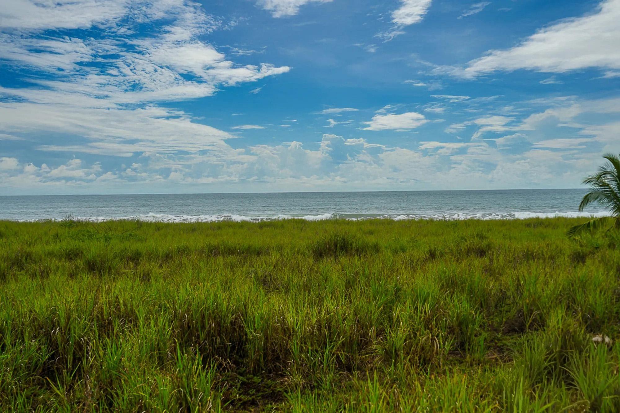 res-00005ccb-09.jpg