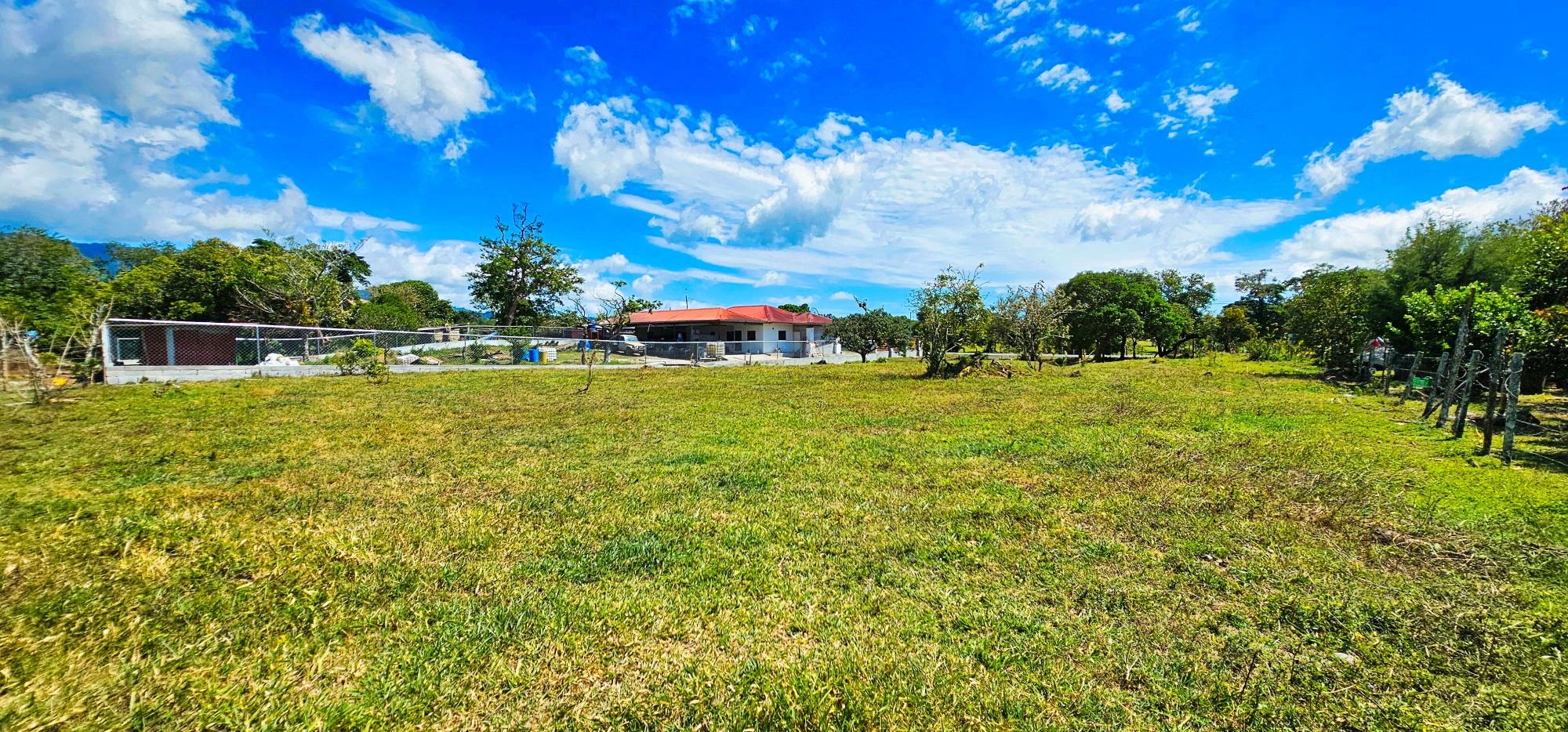 res-00005cd0-08.jpg