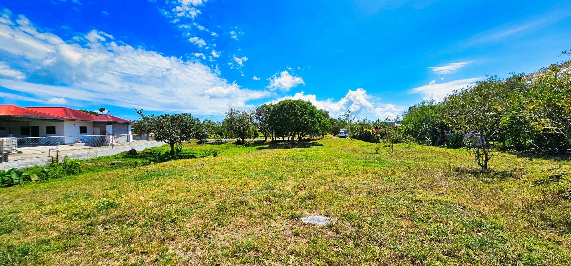 res-00005cd0-09.jpg