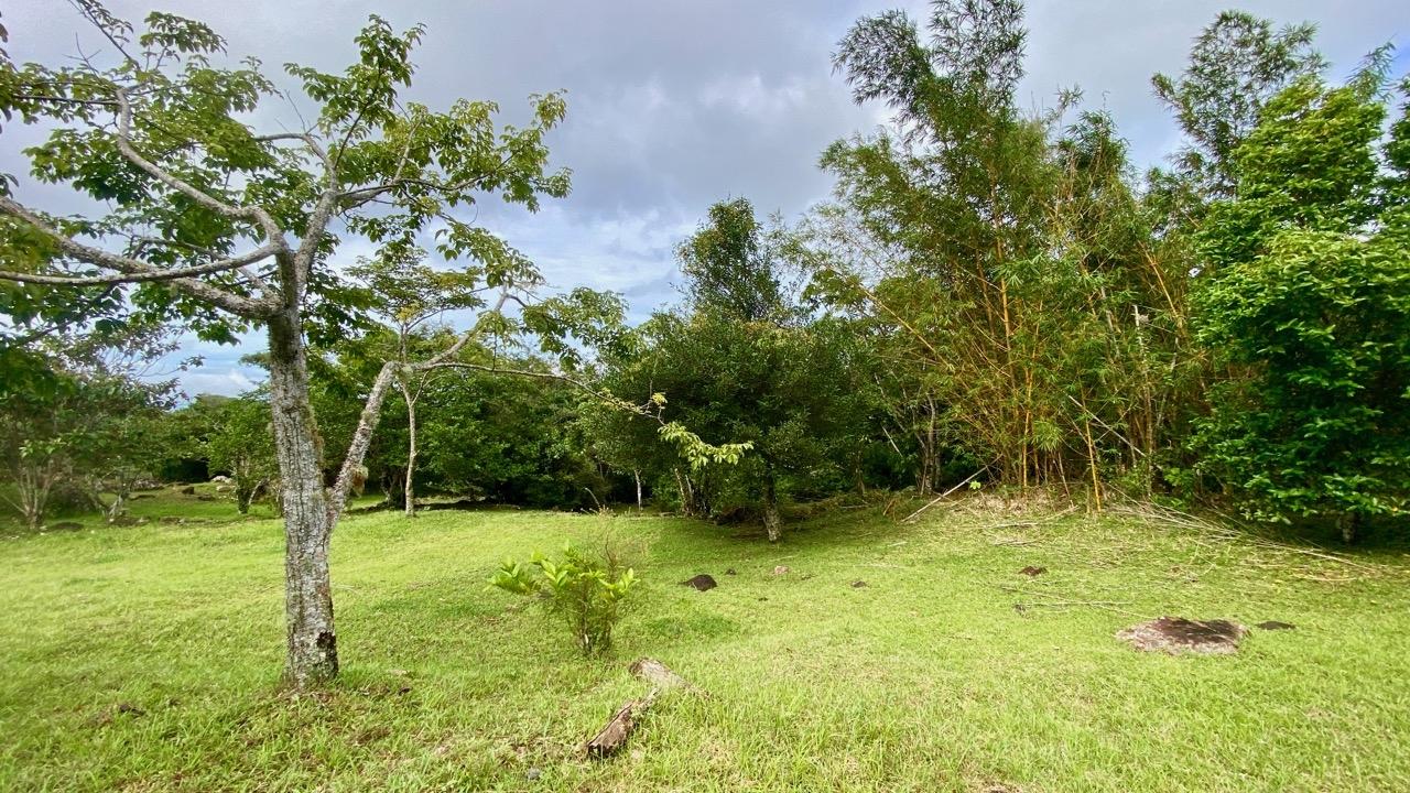 res-00005cd7-04.jpg