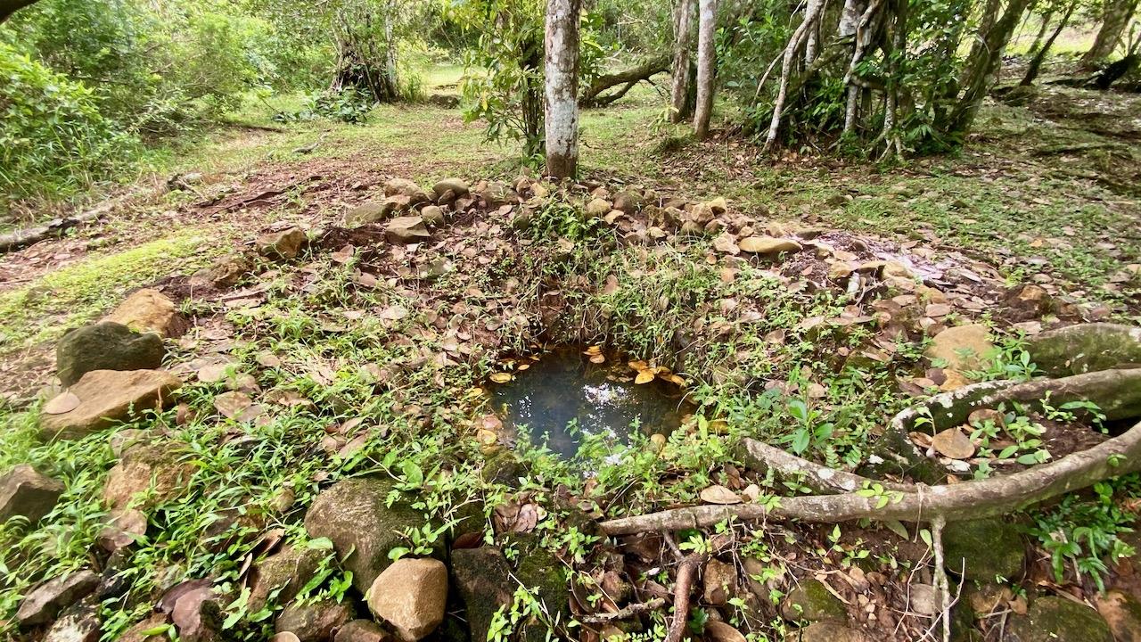 res-00005cd7-15.jpg