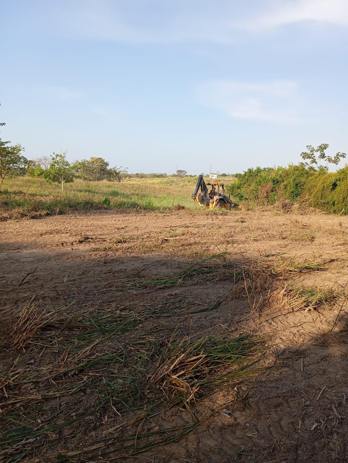 res-00005cf4-04.jpg