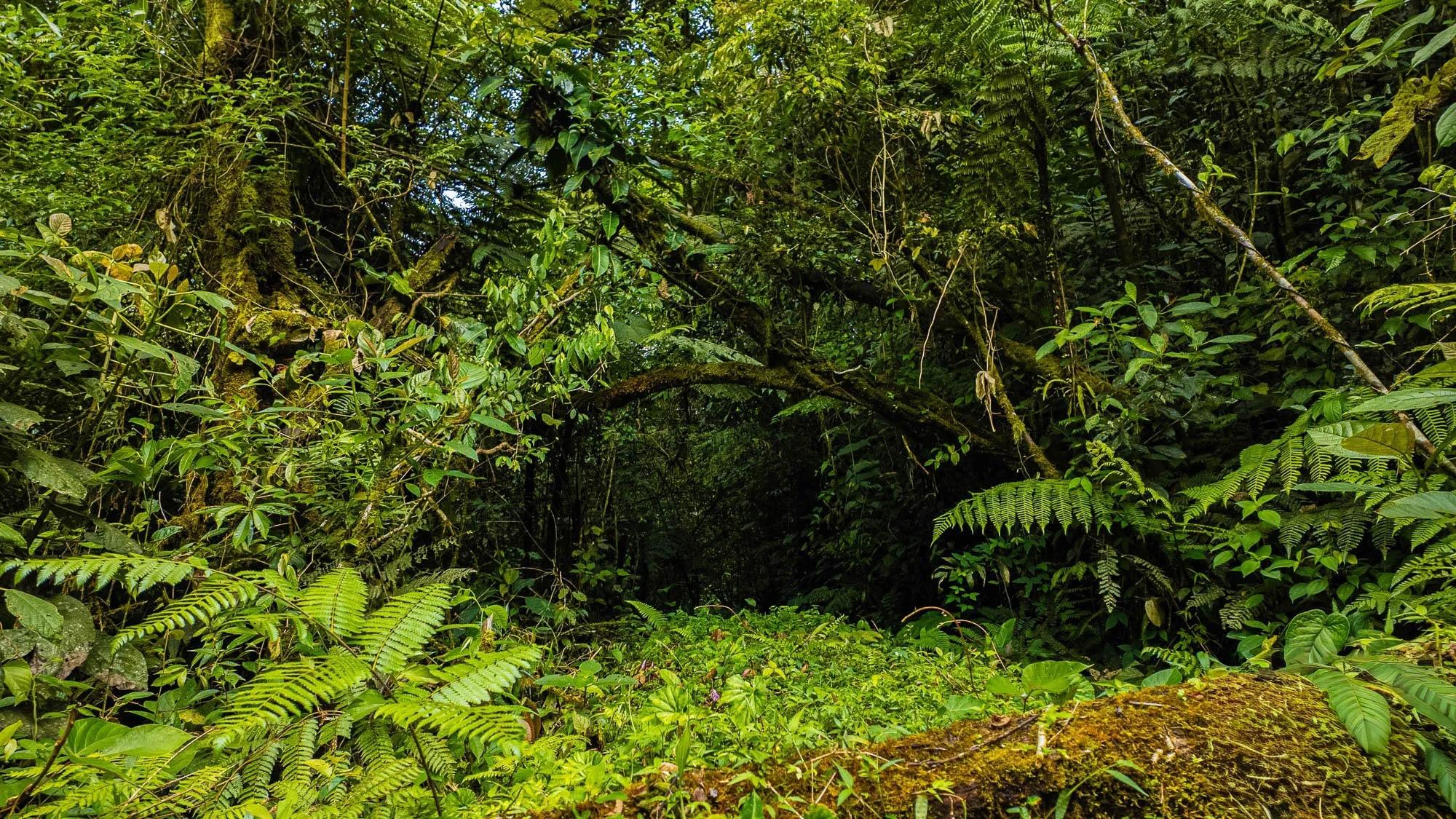 res-00005d08-16.jpg