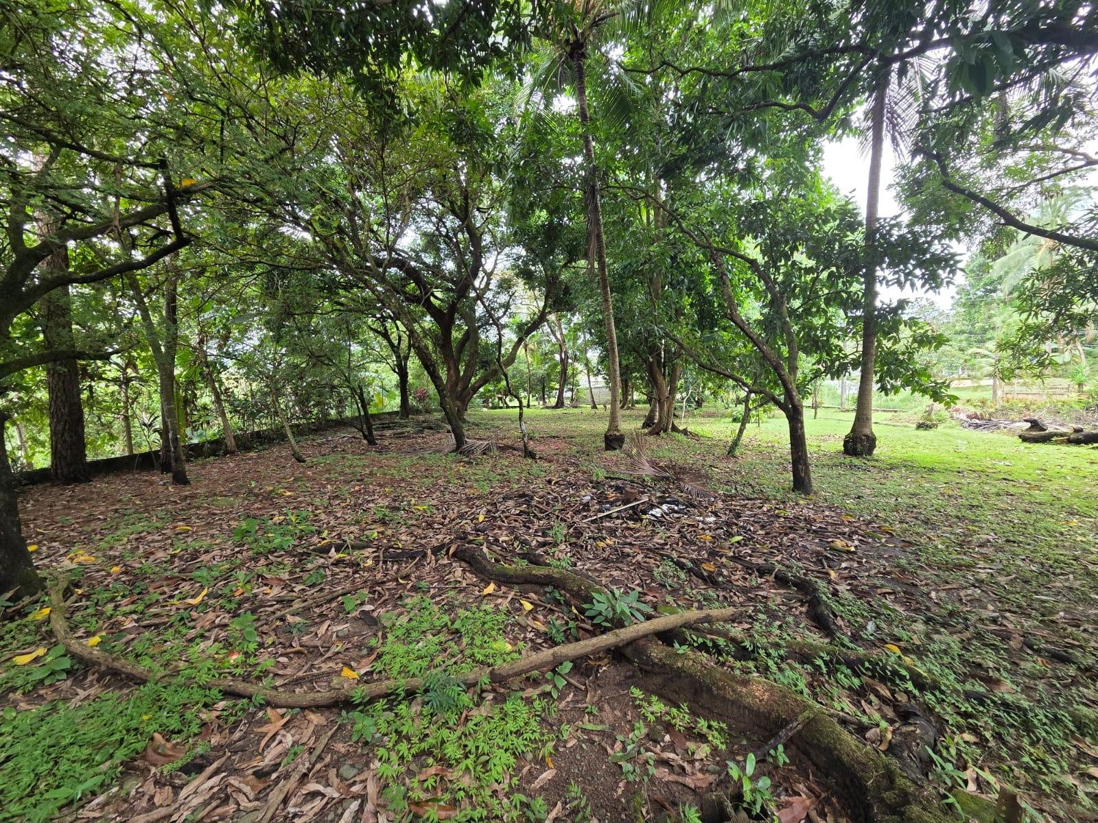 res-00005d47-01.jpg