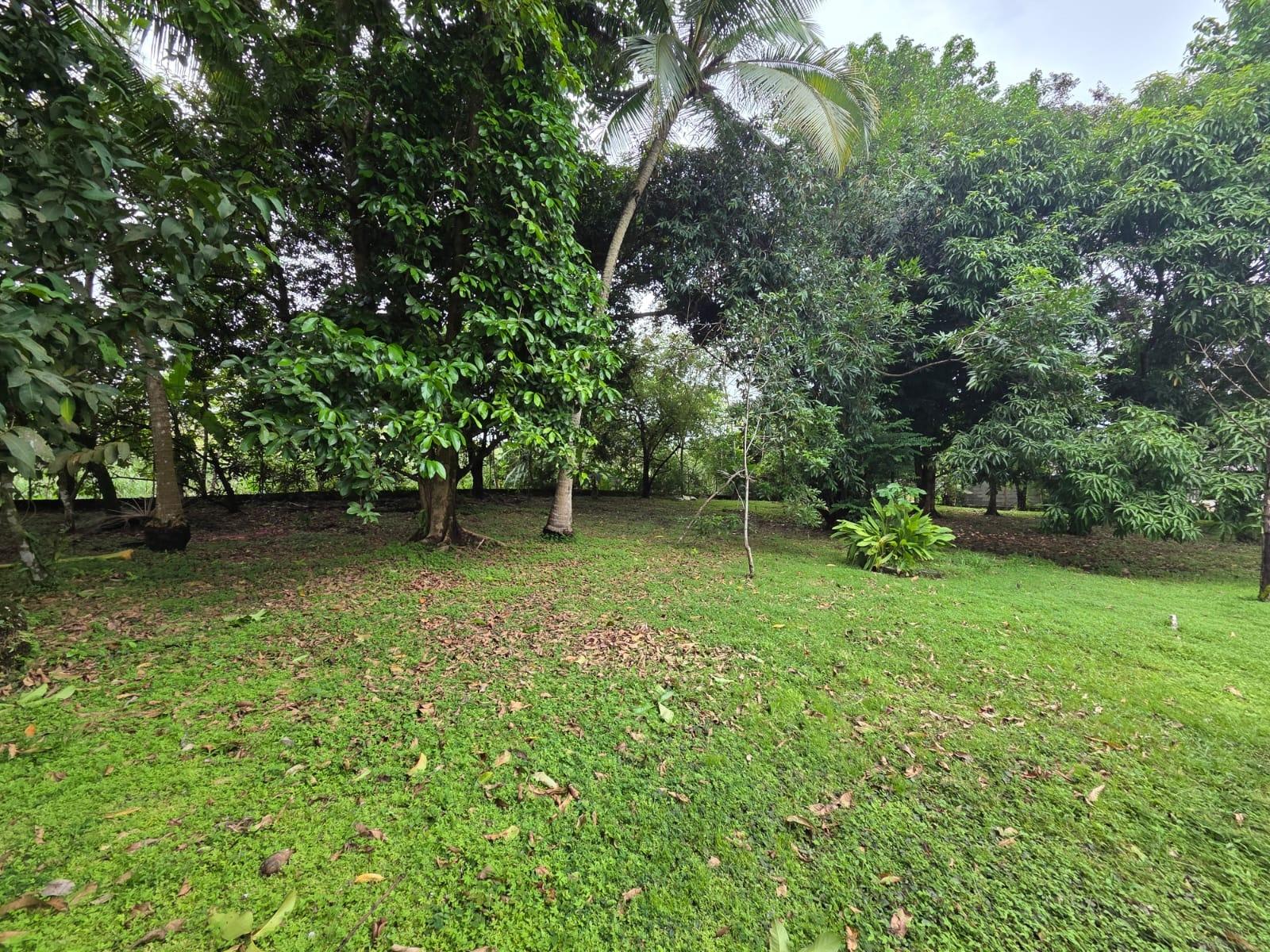 res-00005d47-02.jpg