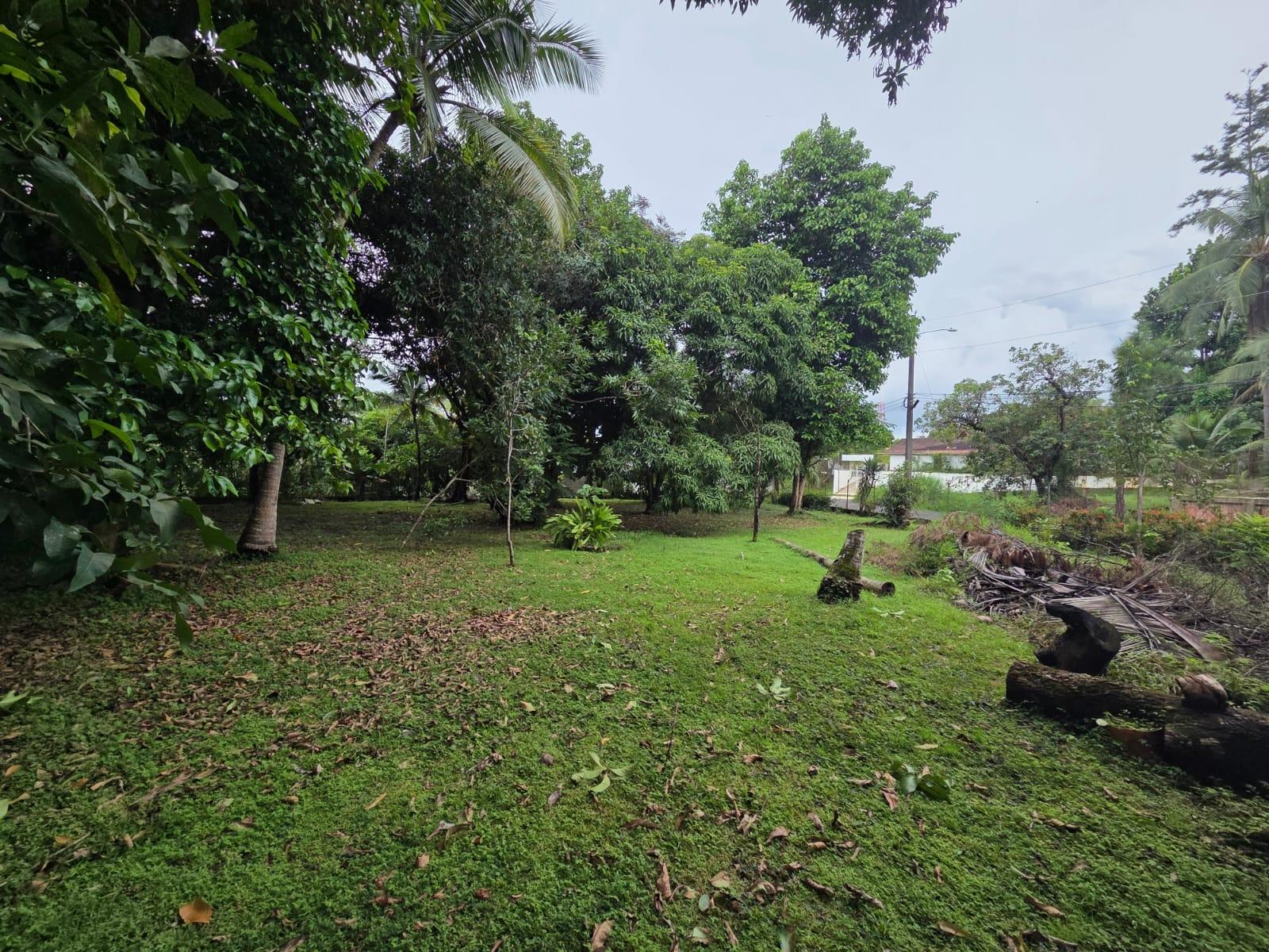 res-00005d47-03.jpg