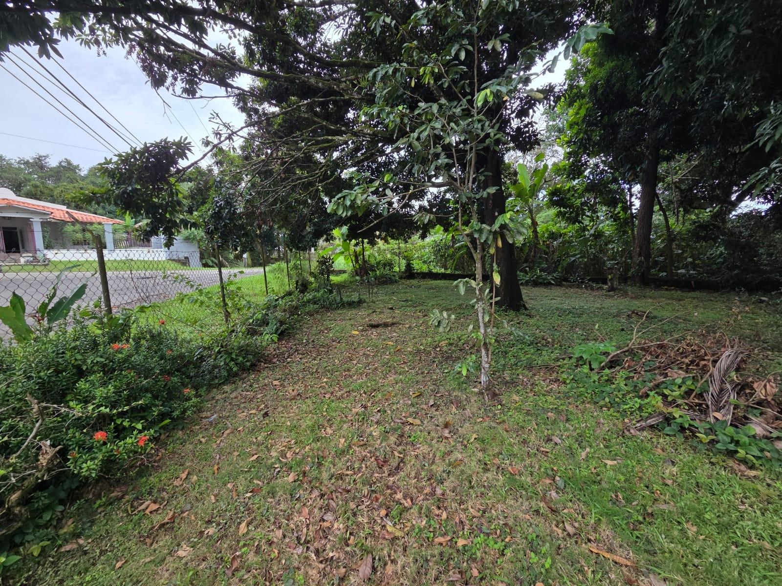 res-00005d47-04.jpg