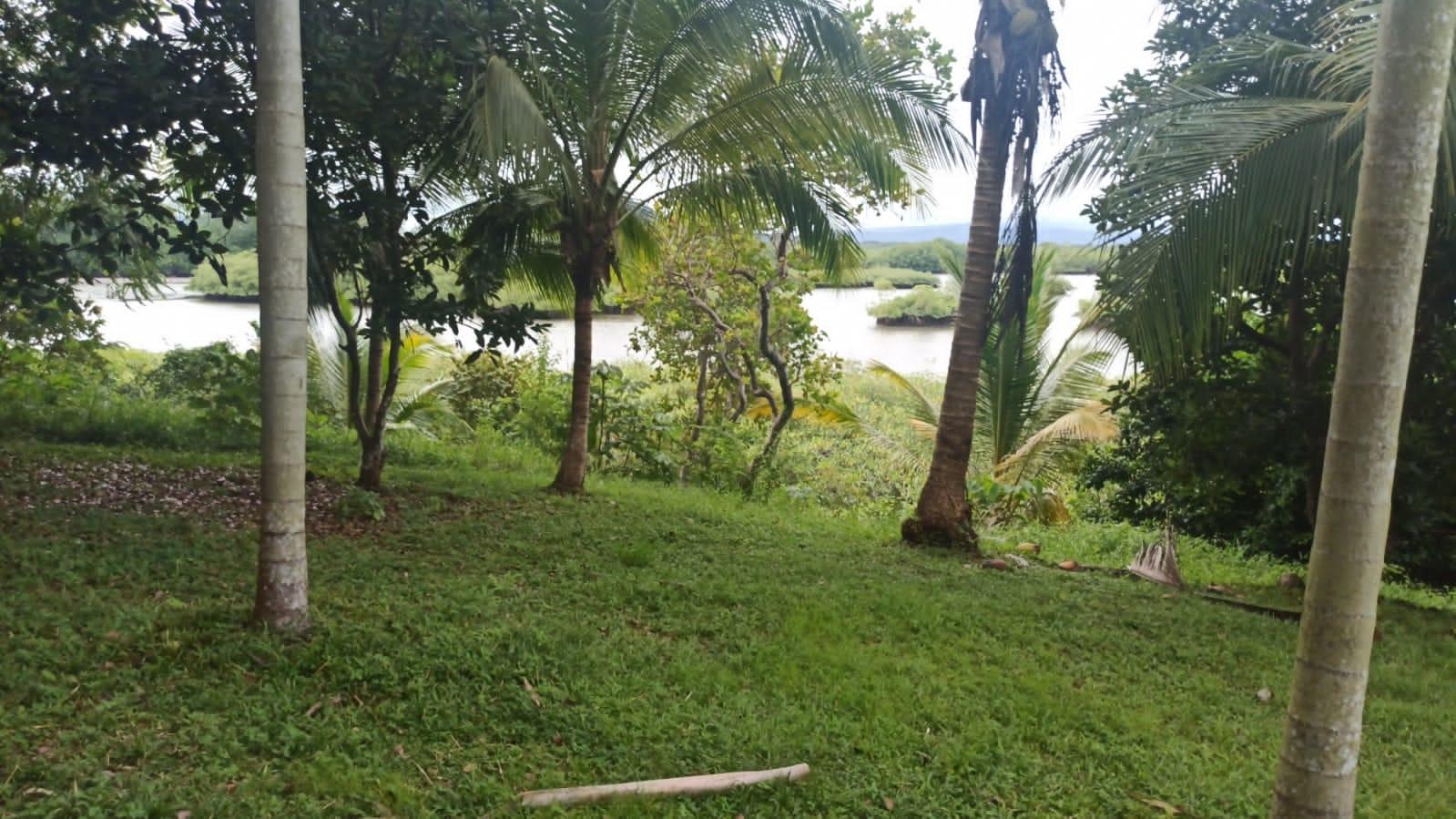 res-00005d4a-02.jpg