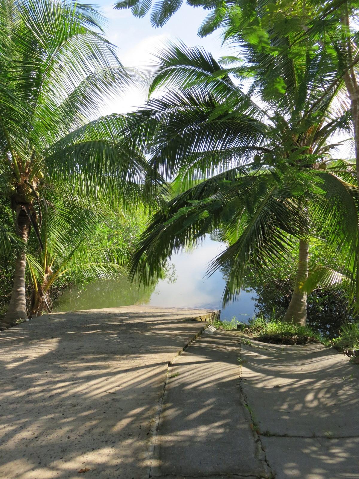 res-00005d4a-04.jpg