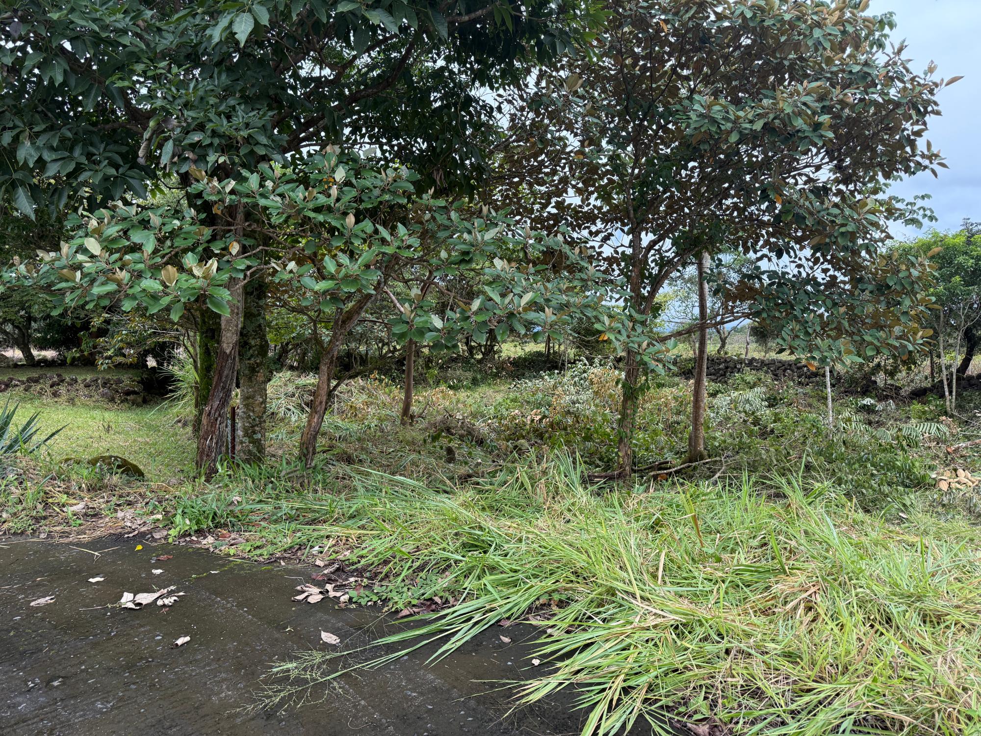 res-00005dc2-01.jpg