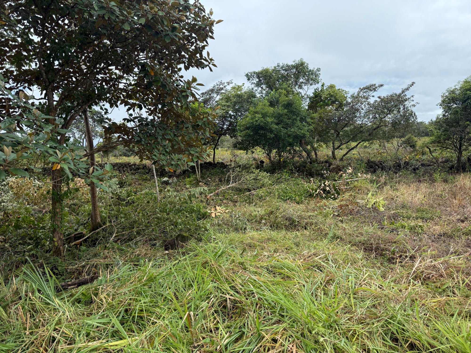 res-00005dc2-05.jpg