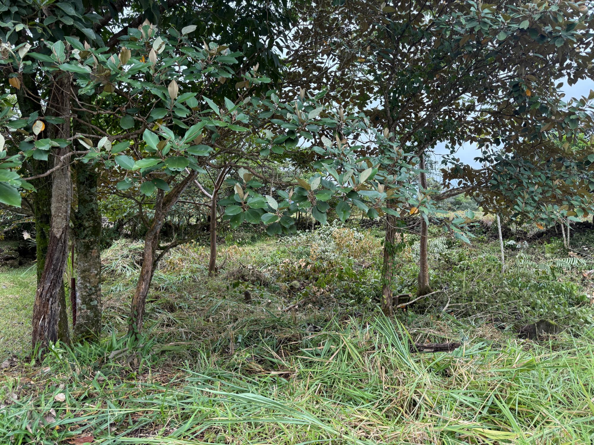 res-00005dc2-06.jpg