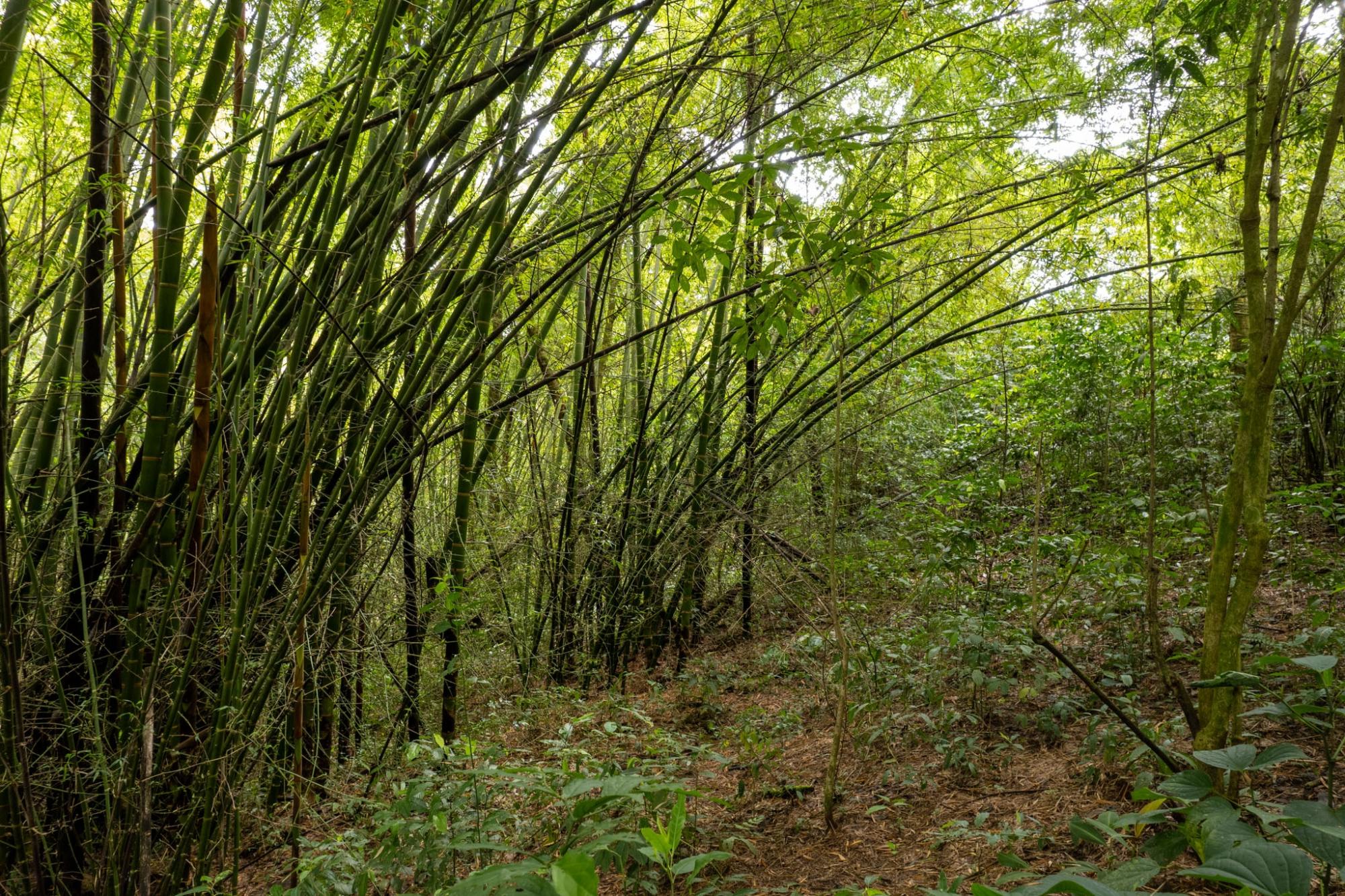 res-00005def-13.jpg