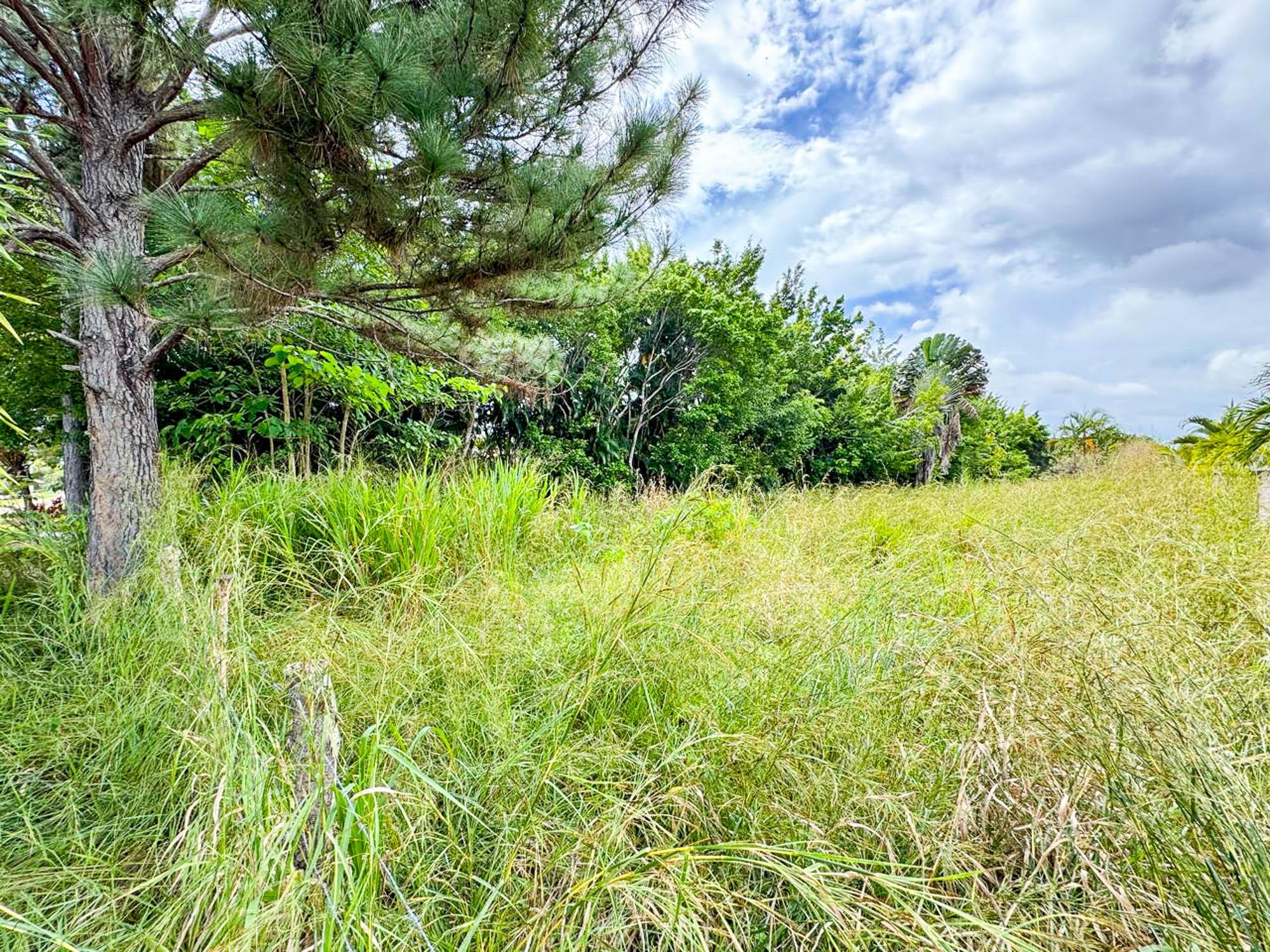 res-00005df9-08.jpg
