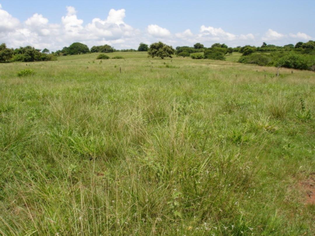 res-00005e17-04.jpg