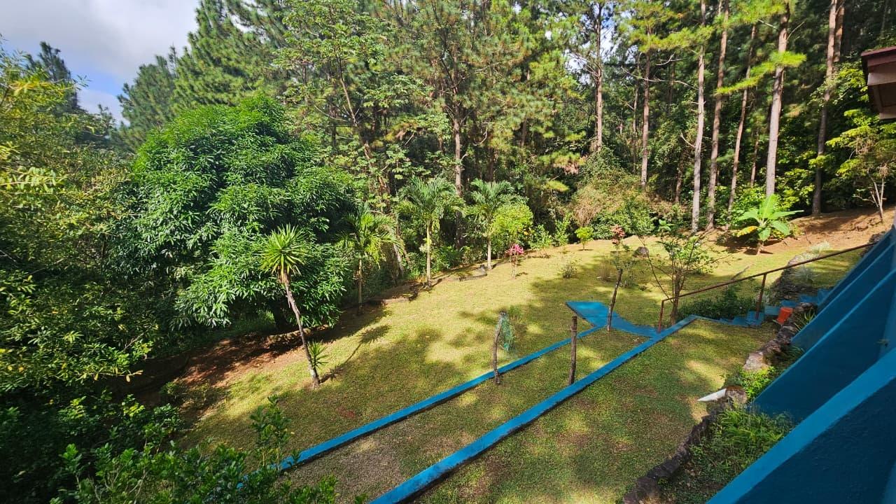 res-00005e25-09.jpg