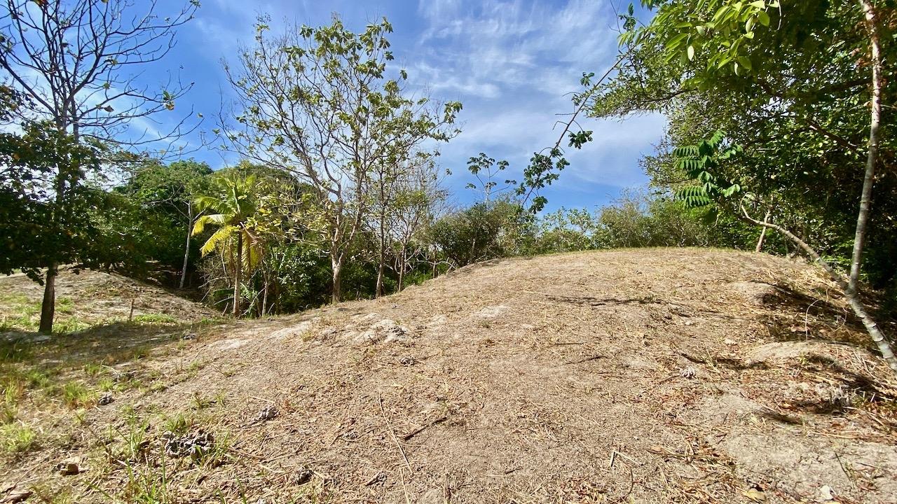 res-00005e42-16.jpg