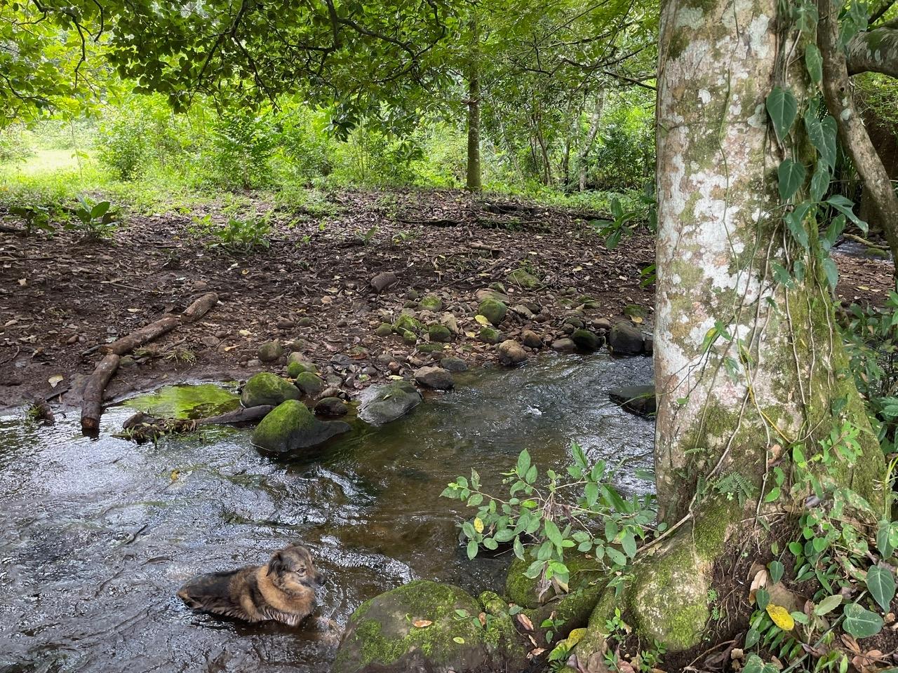 res-00005e82-11.jpg