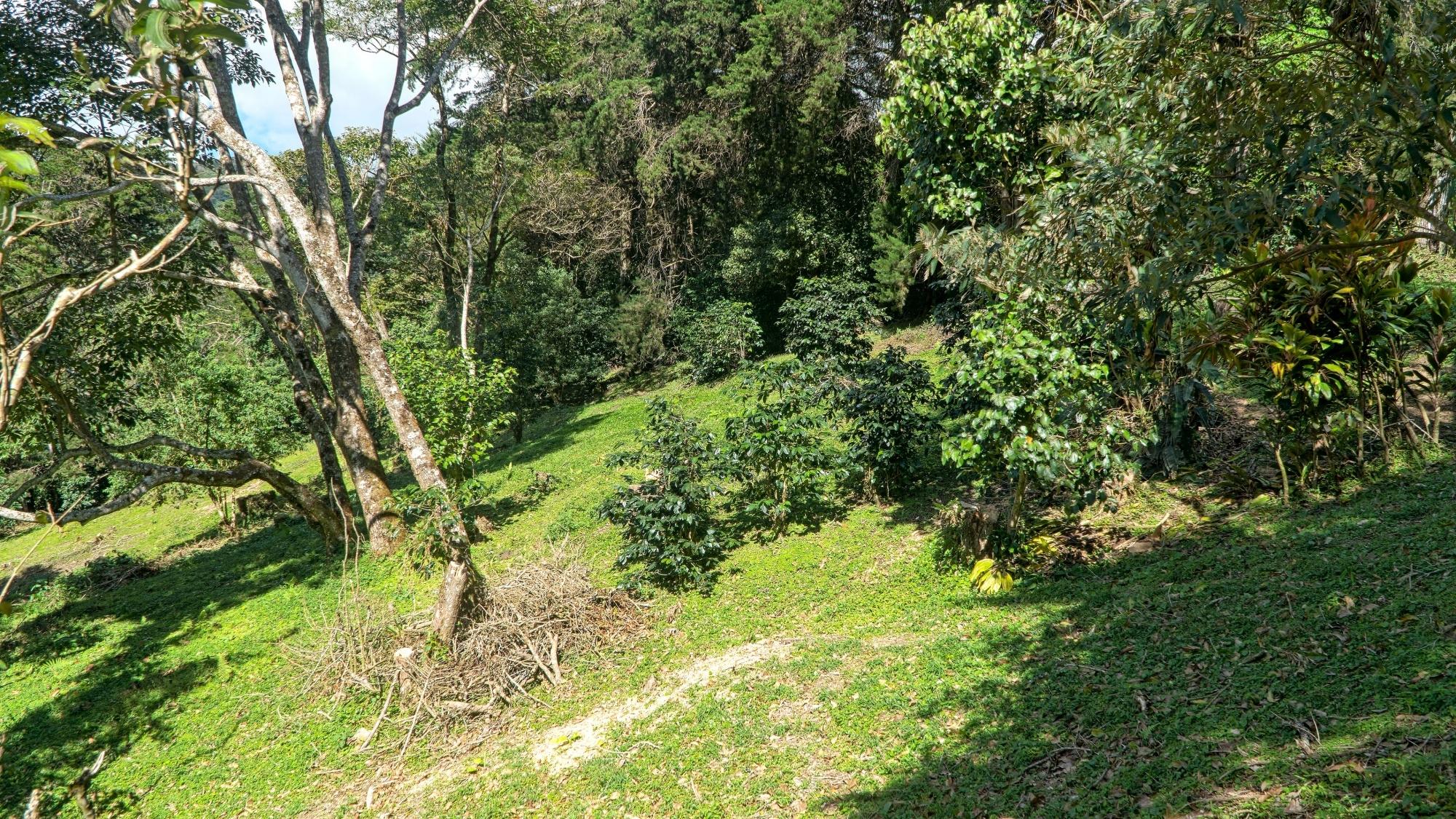 res-00005e98-05.jpg