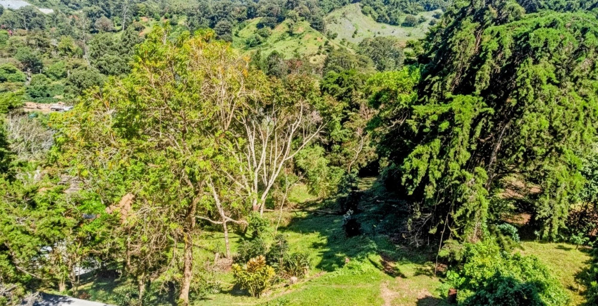 res-00005e98-06.jpg