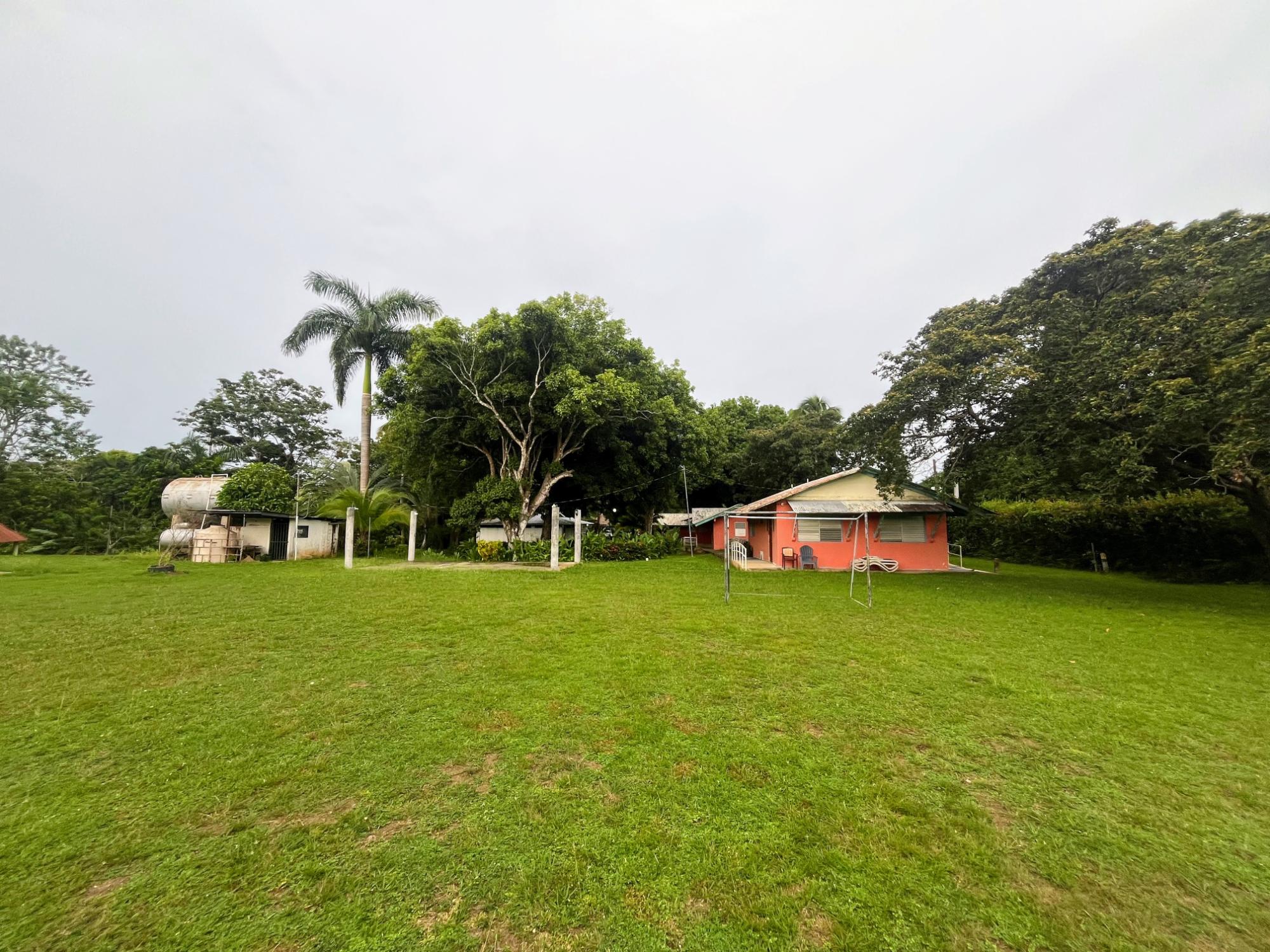 res-00005e9c-01.jpg