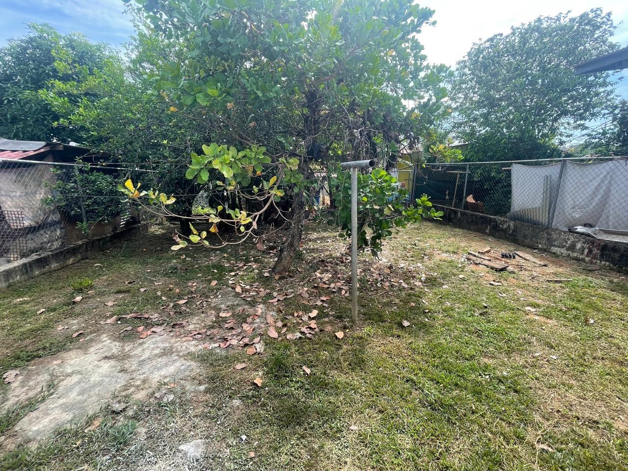 res-00005e9d-09.jpg