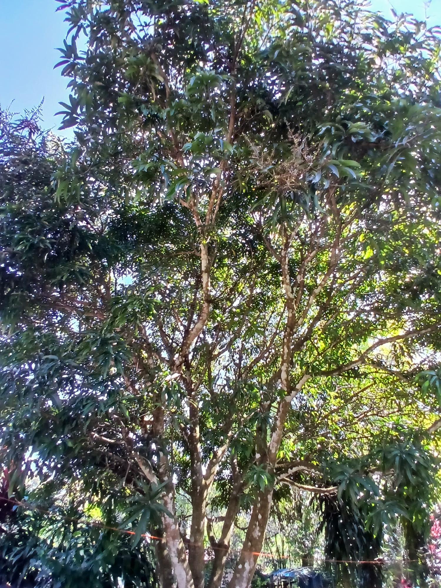 res-00005ec9-03.jpg