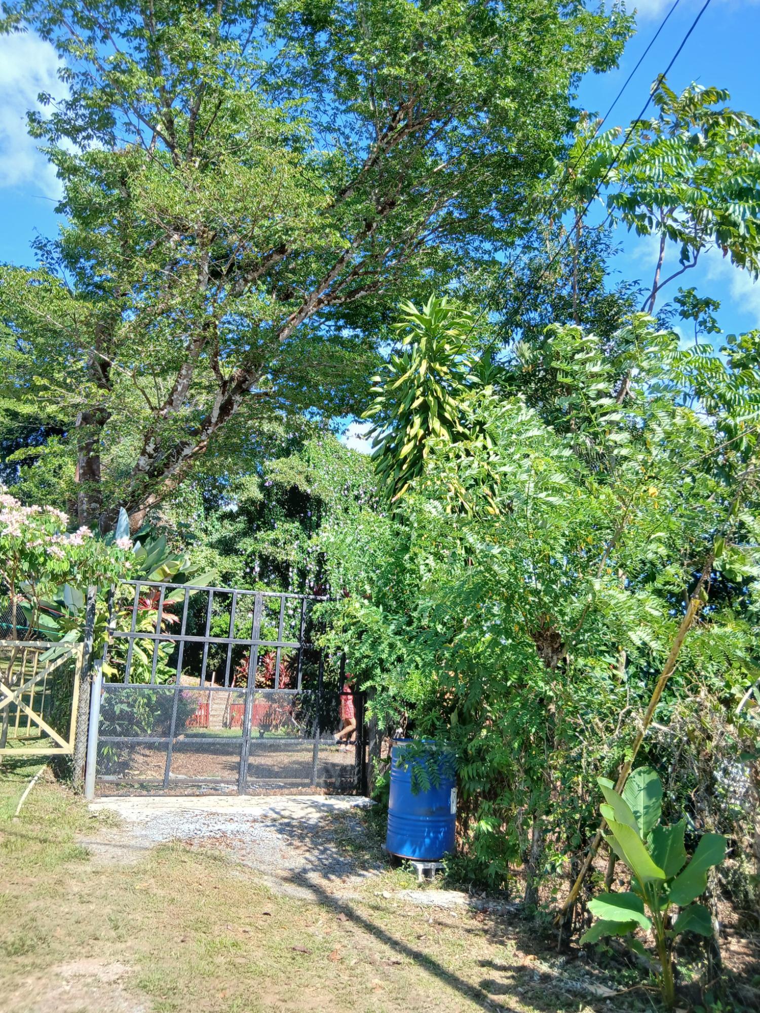 res-00005ec9-05.jpg