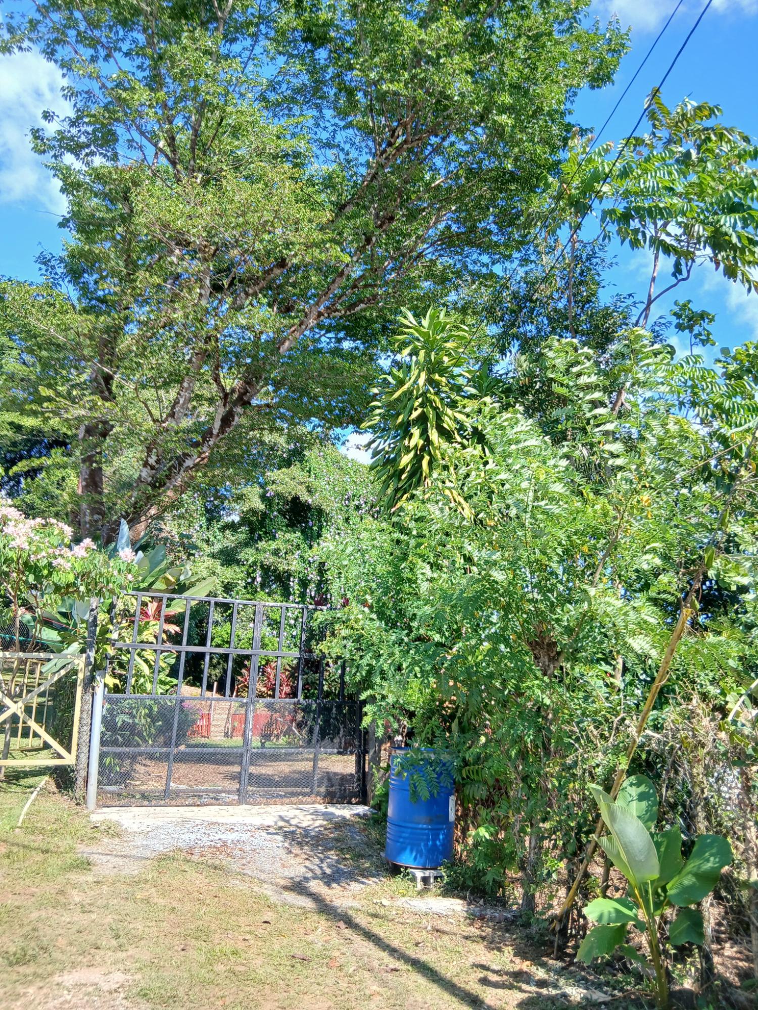 res-00005ec9-14.jpg