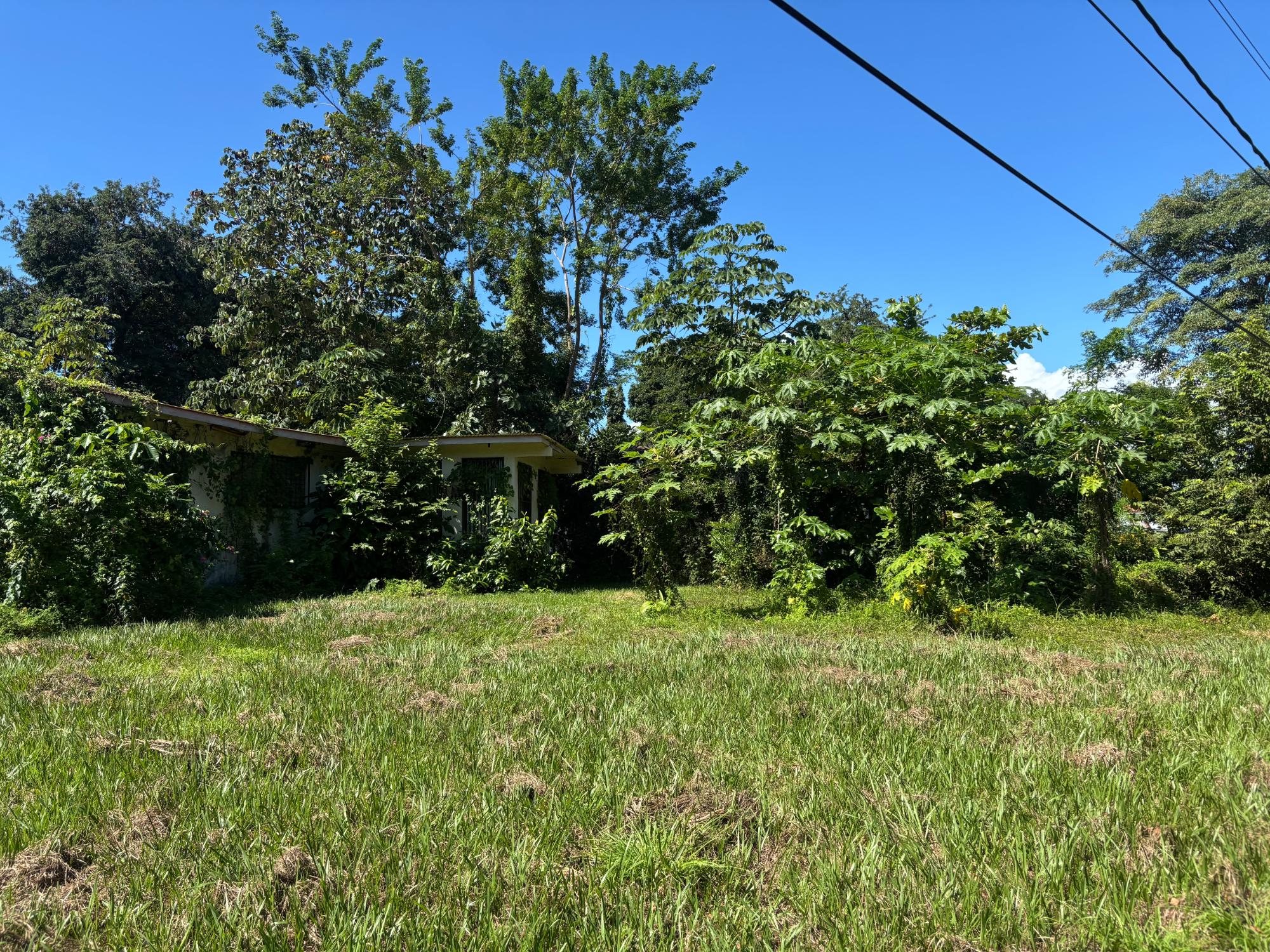 res-00005eeb-01.jpg
