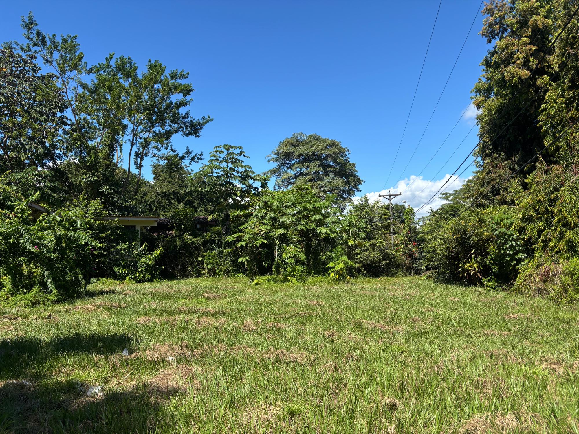 res-00005eeb-05.jpg