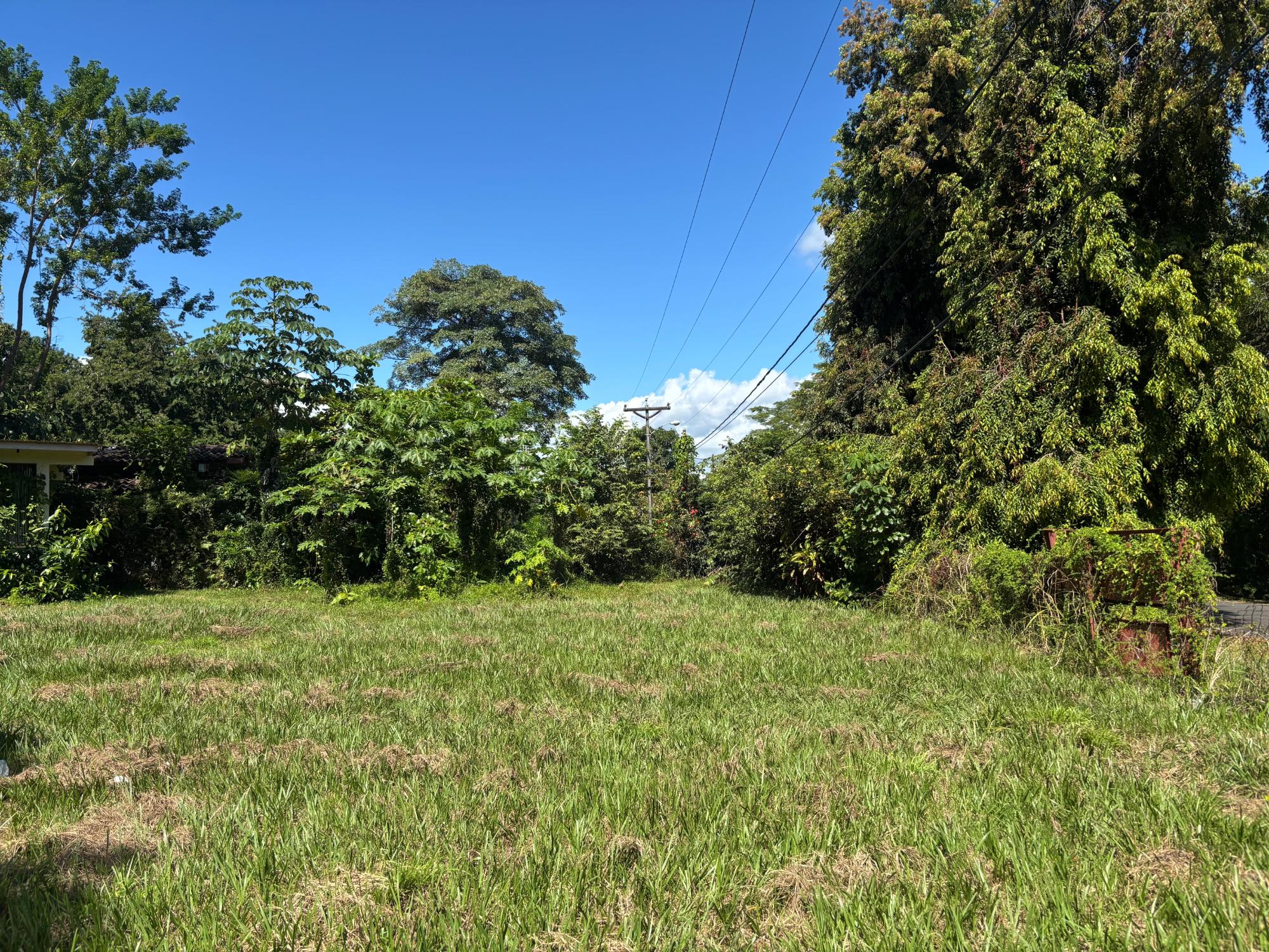 res-00005eeb-06.jpg