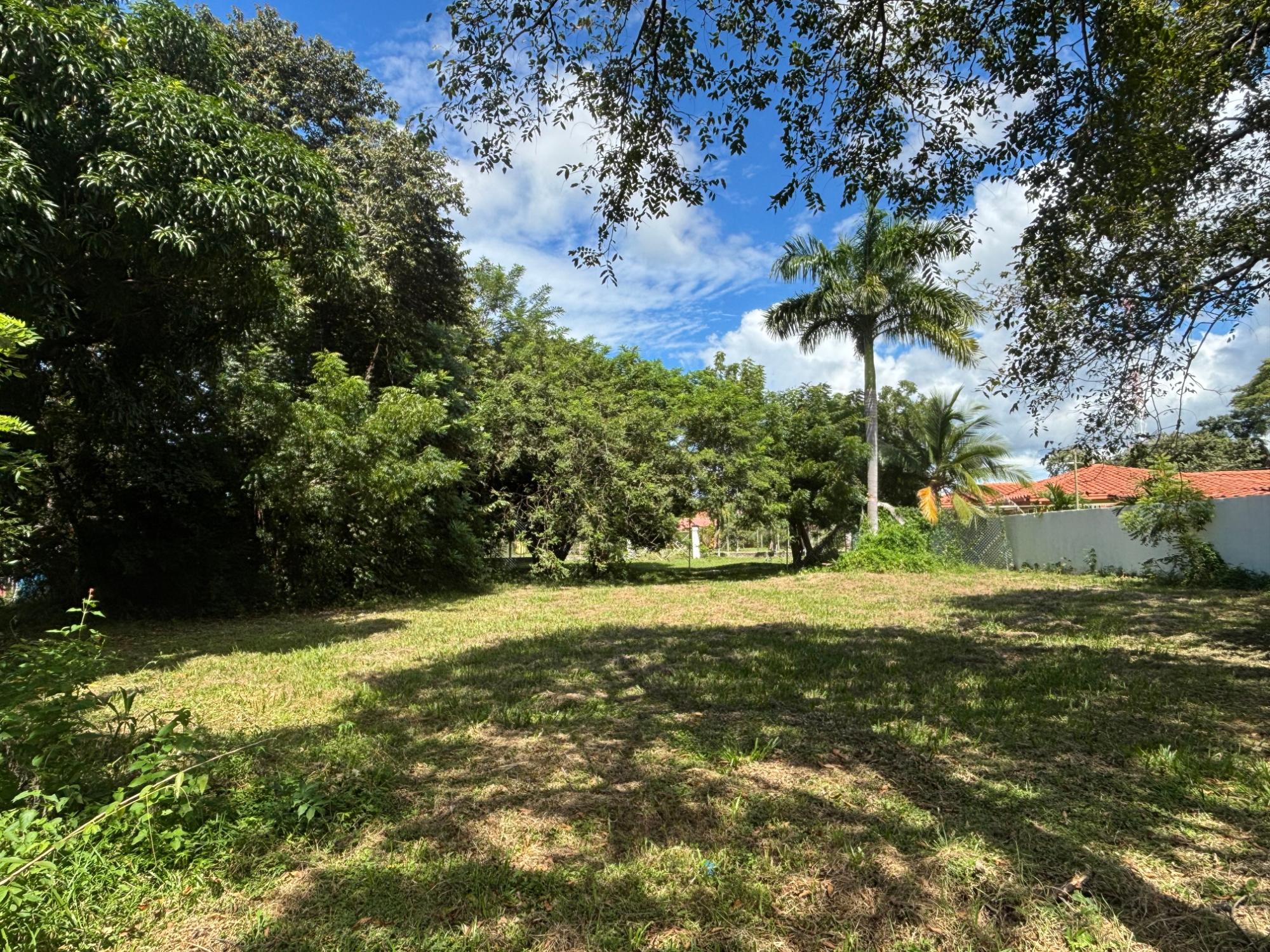 res-00005eec-03.jpg