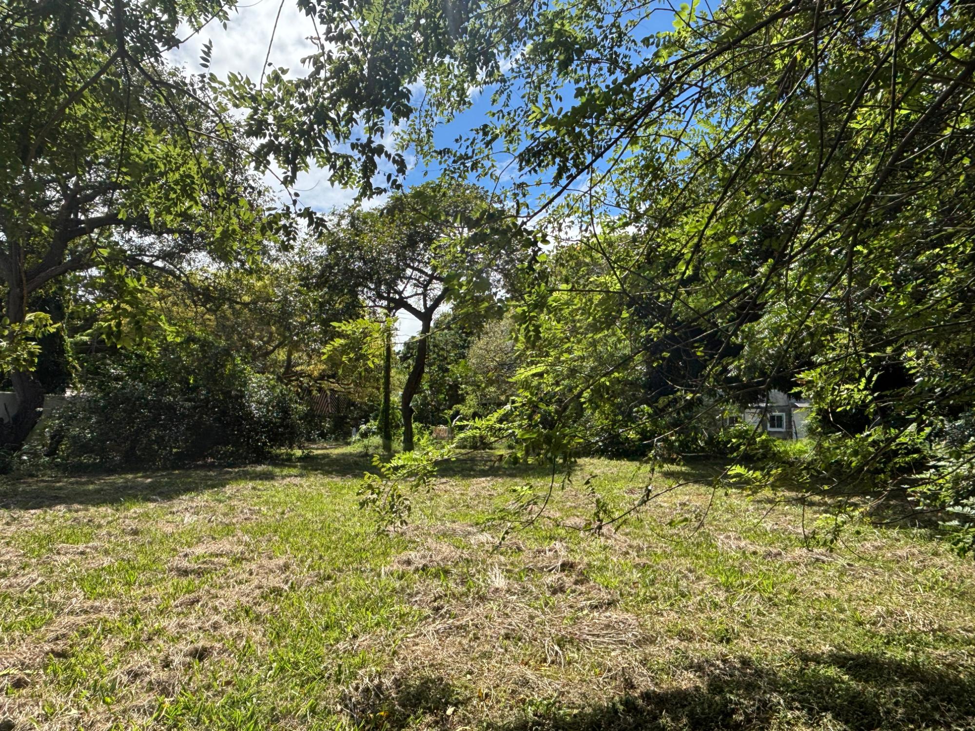 res-00005eec-07.jpg