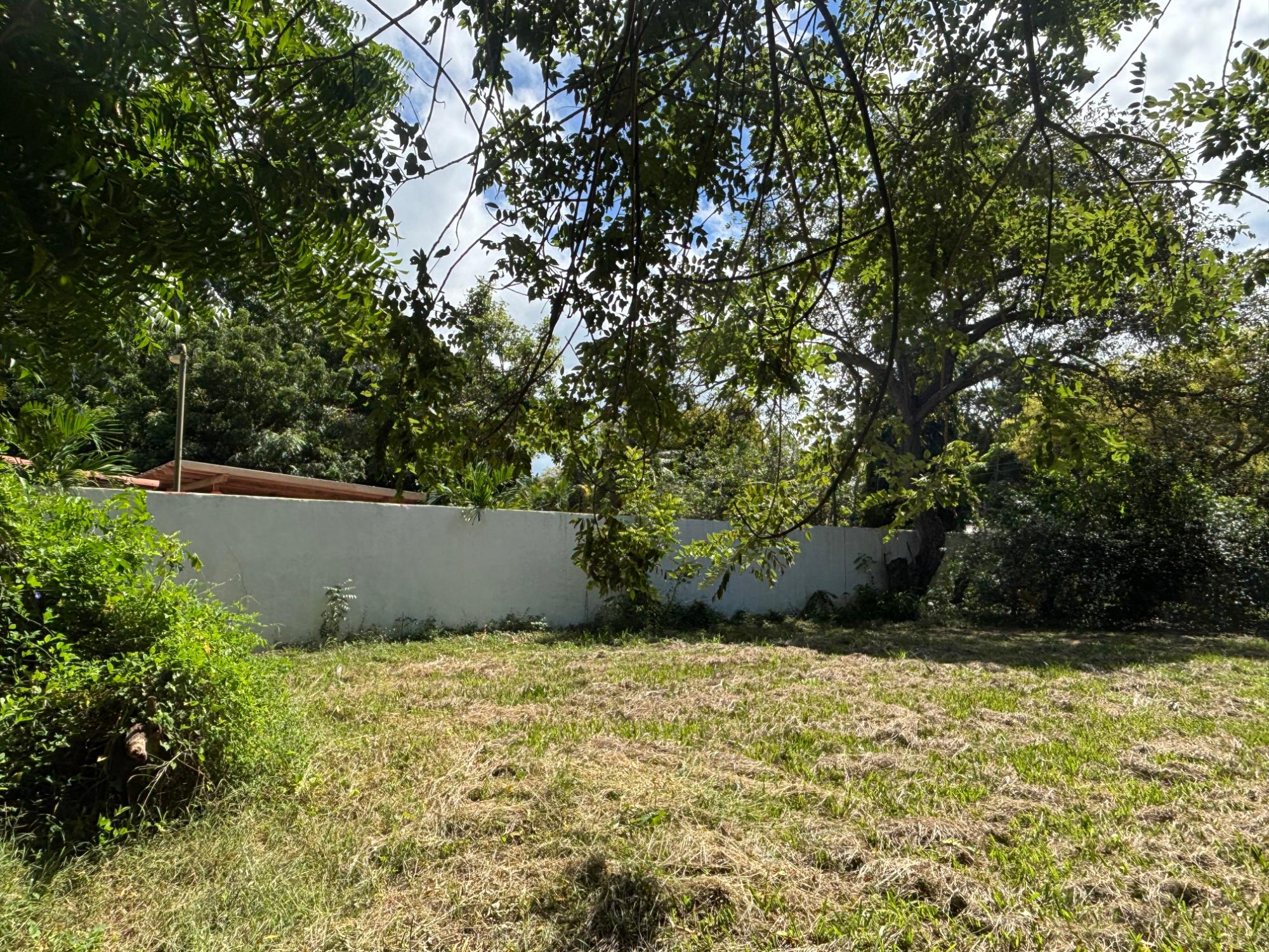 res-00005eec-08.jpg