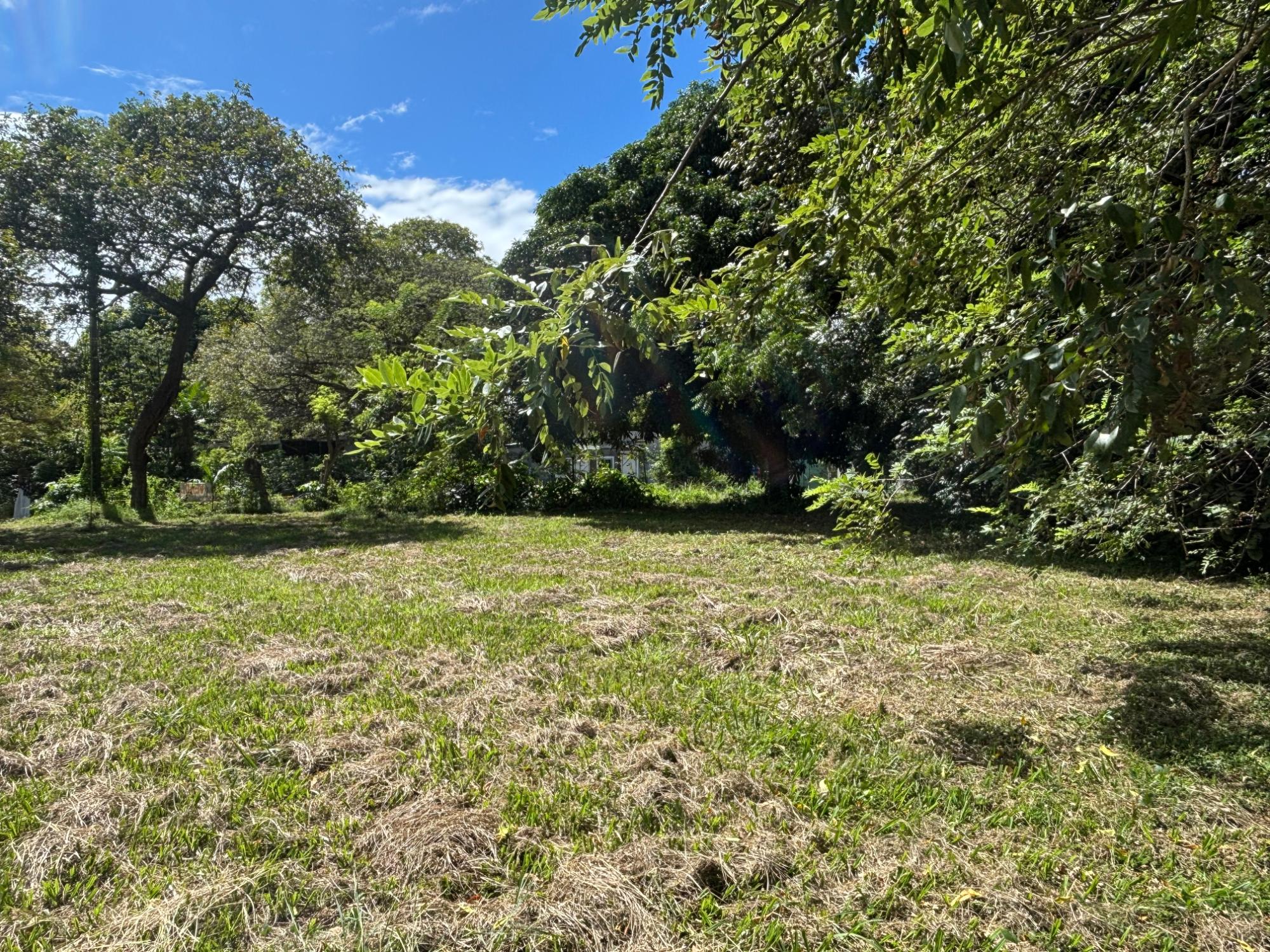 res-00005eec-11.jpg