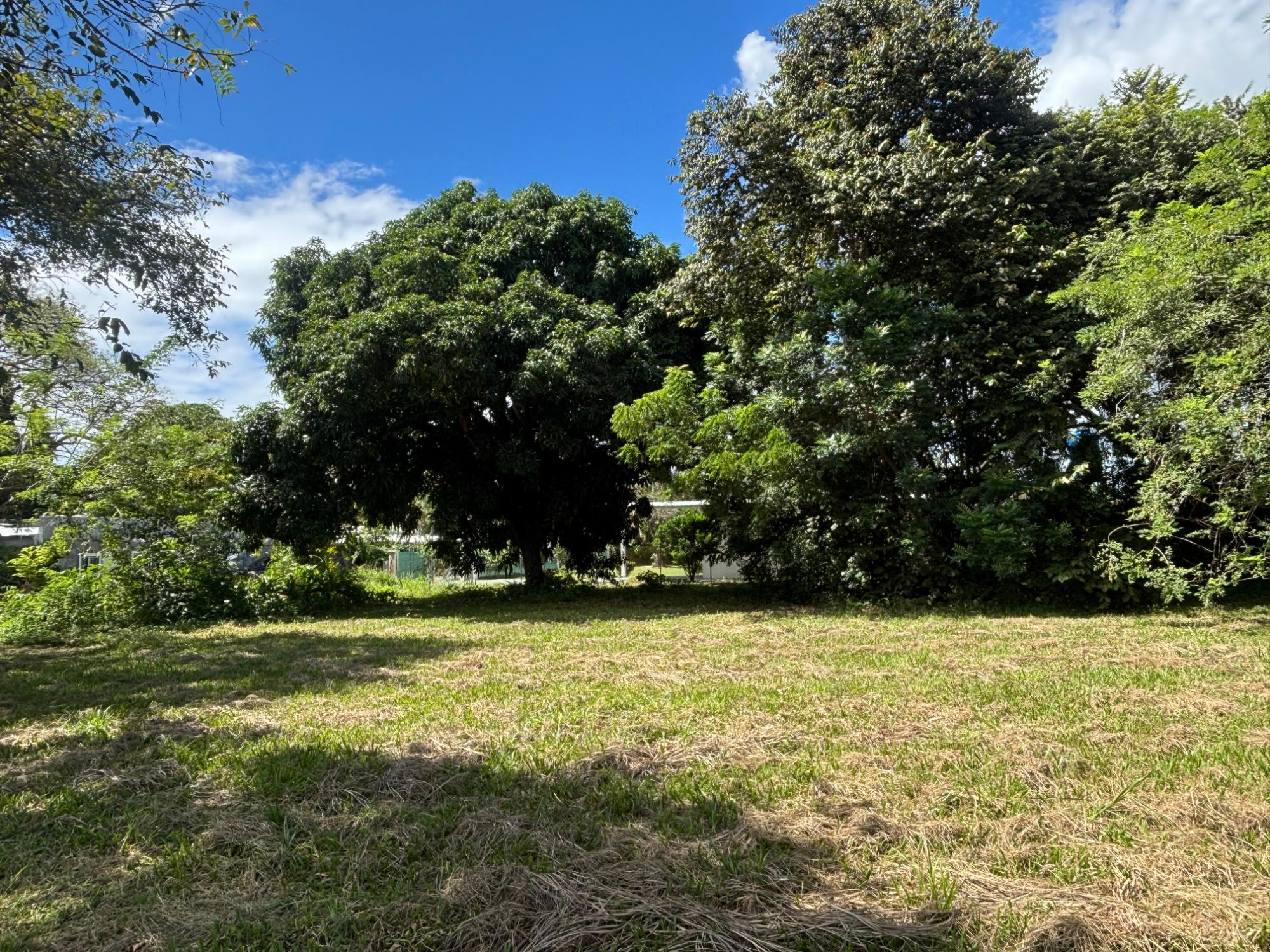 res-00005eec-13.jpg