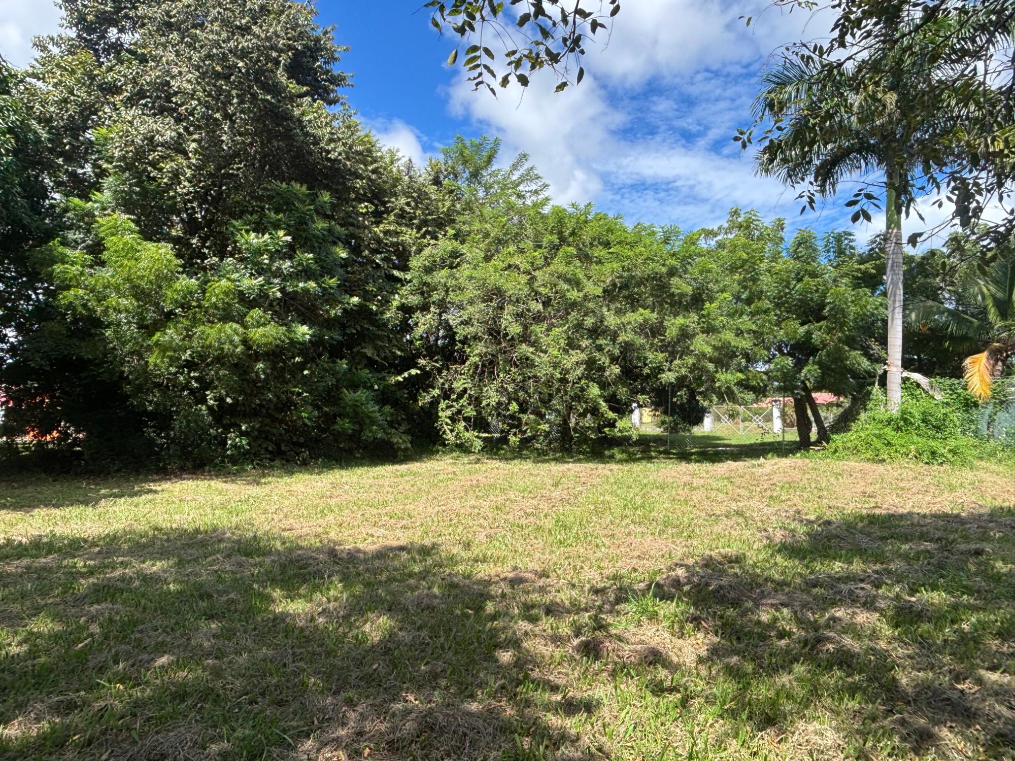 res-00005eec-15.jpg