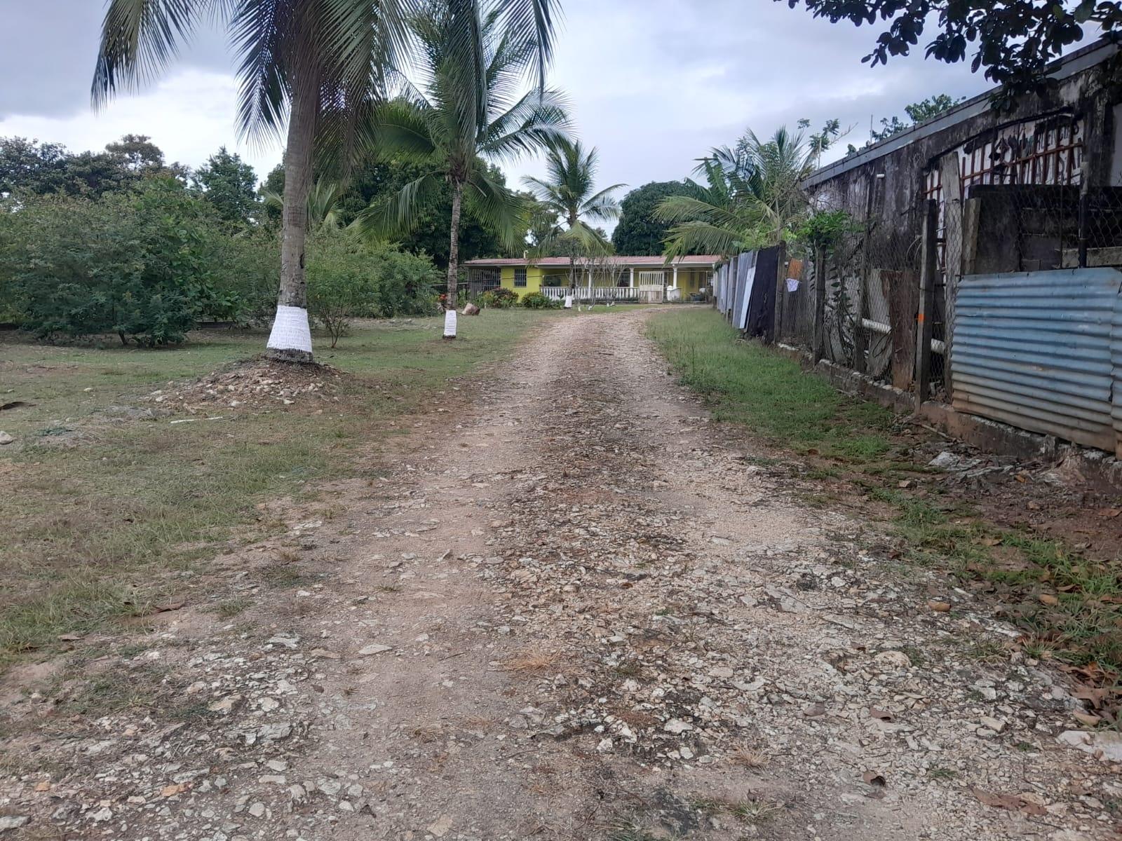 res-00005f59-03.jpg