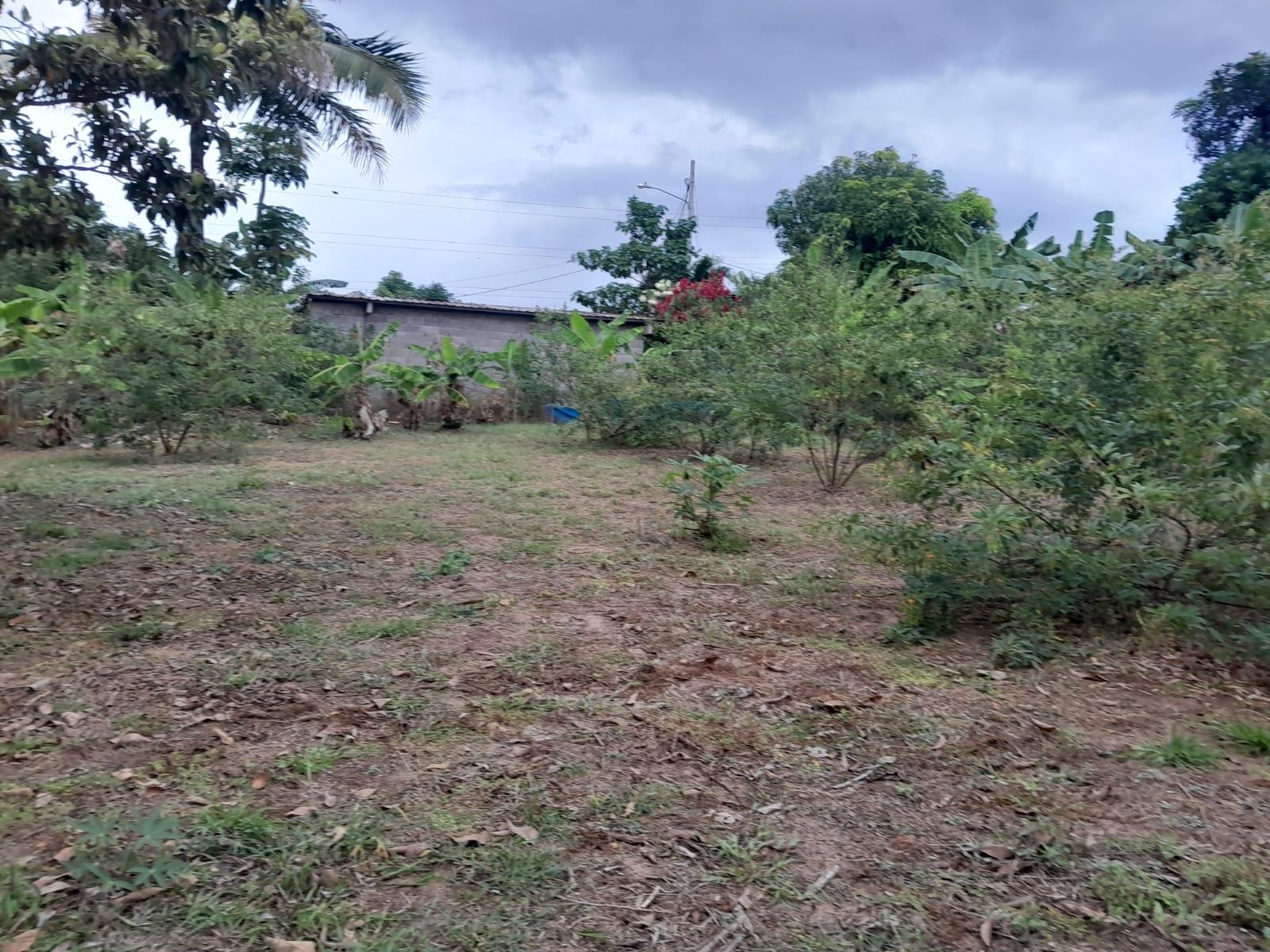 res-00005f59-13.jpg