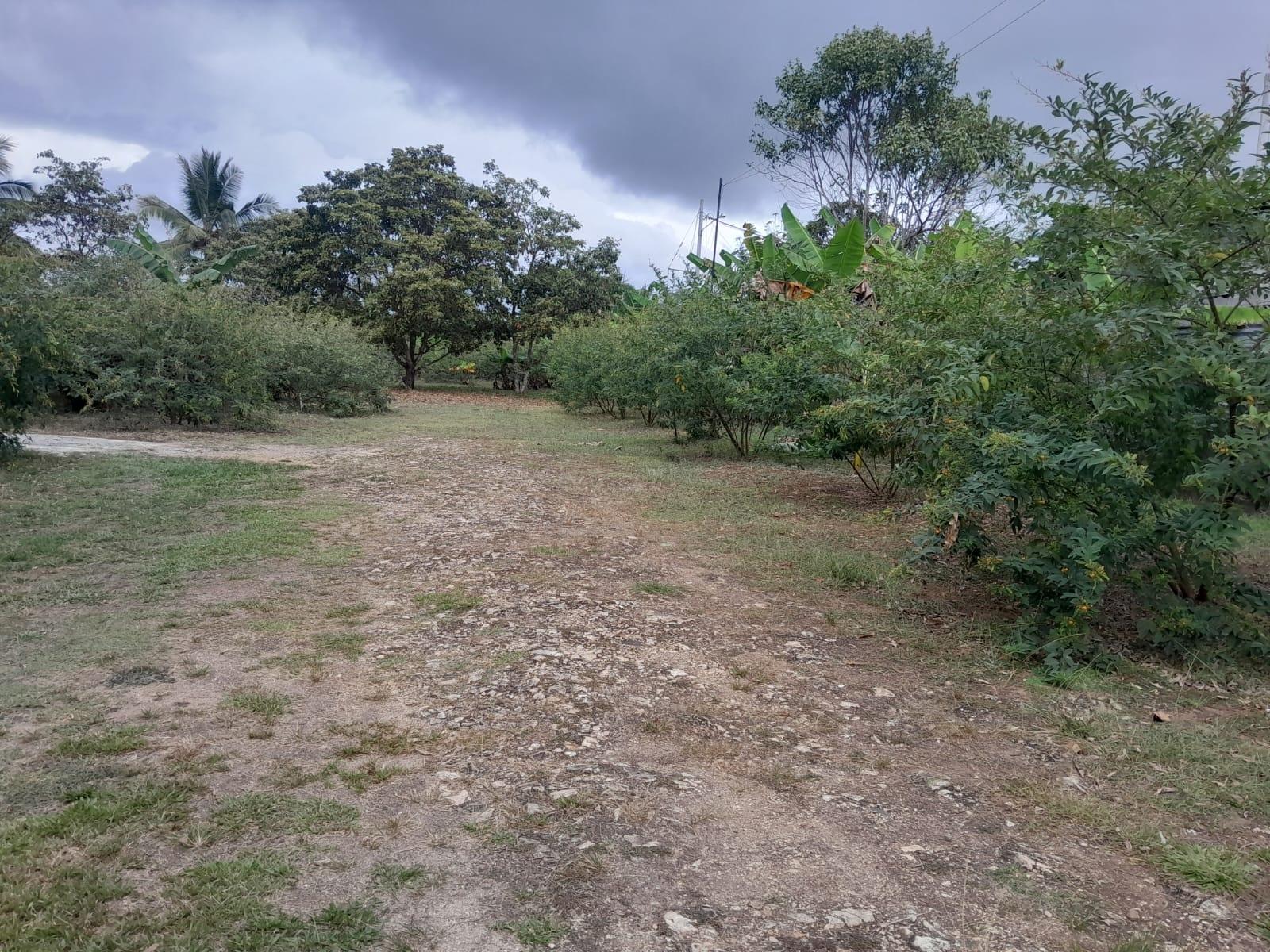 res-00005f59-14.jpg