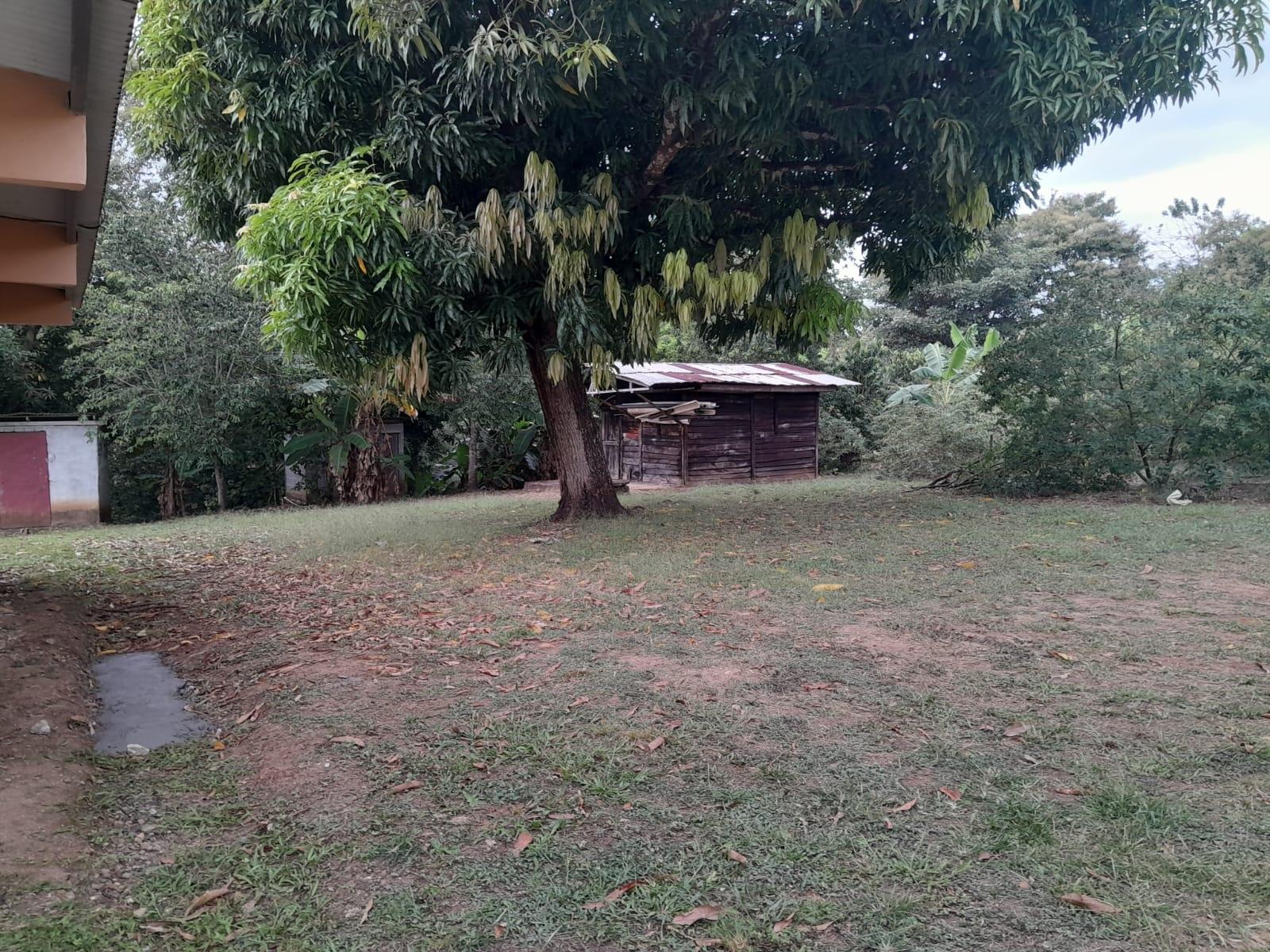 res-00005f59-15.jpg