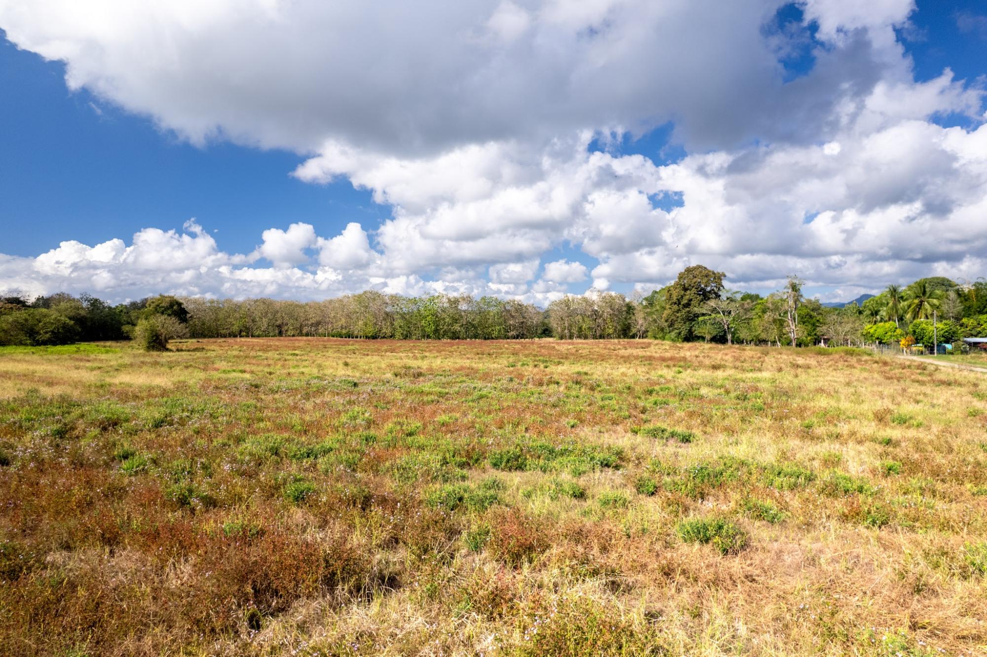 res-00005f74-06.jpg