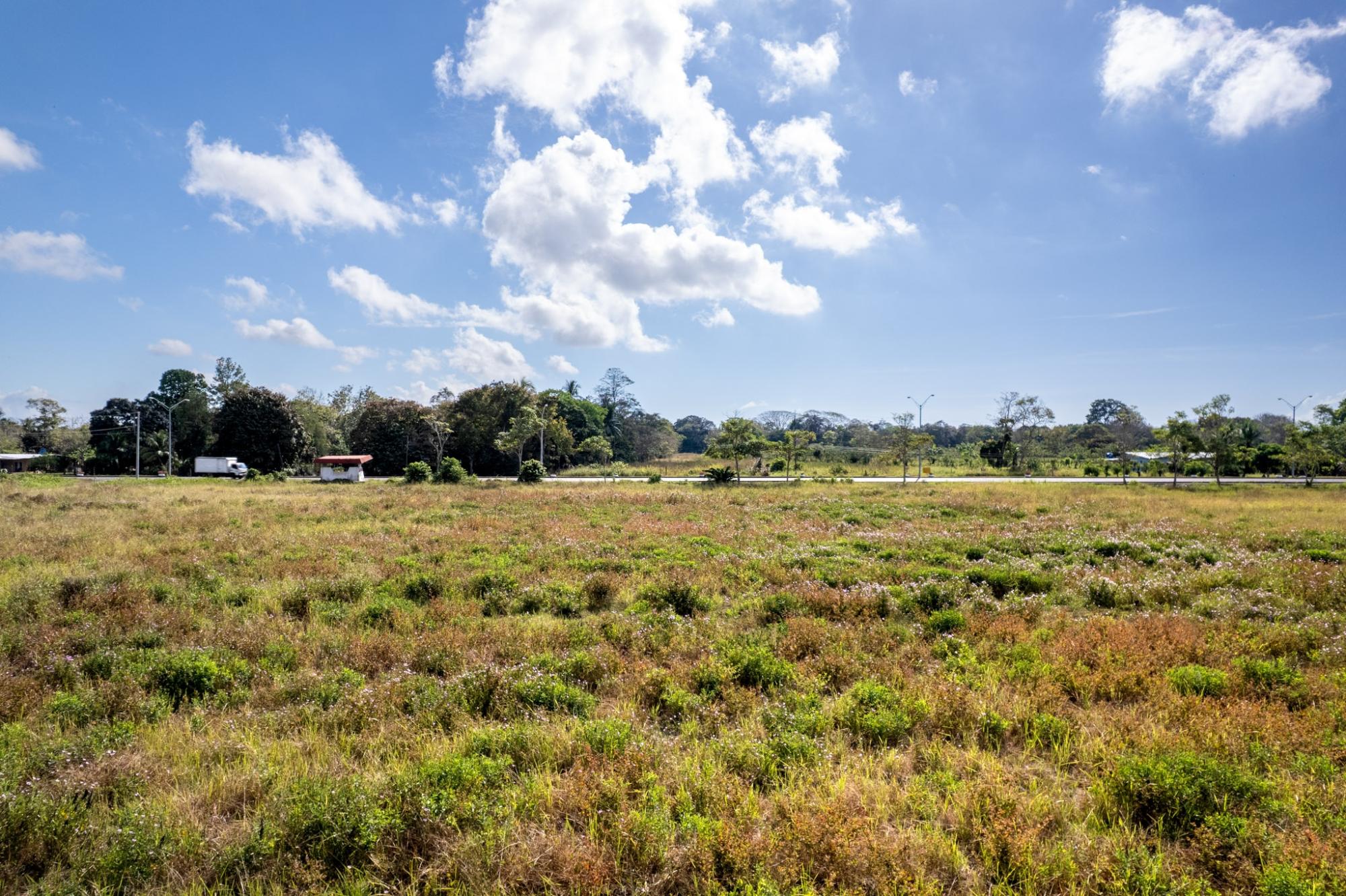res-00005f74-07.jpg