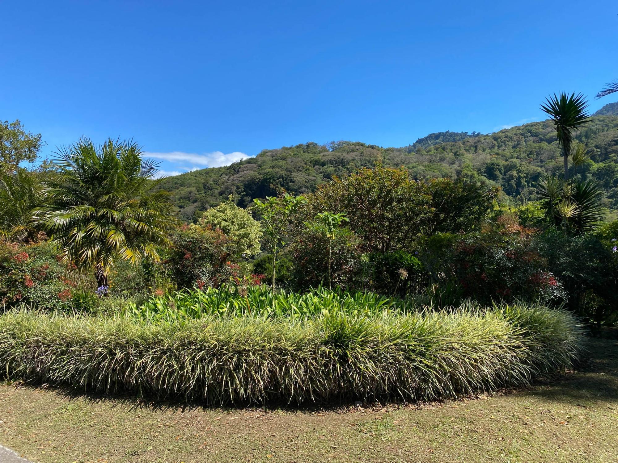 res-00005f76-12.jpg