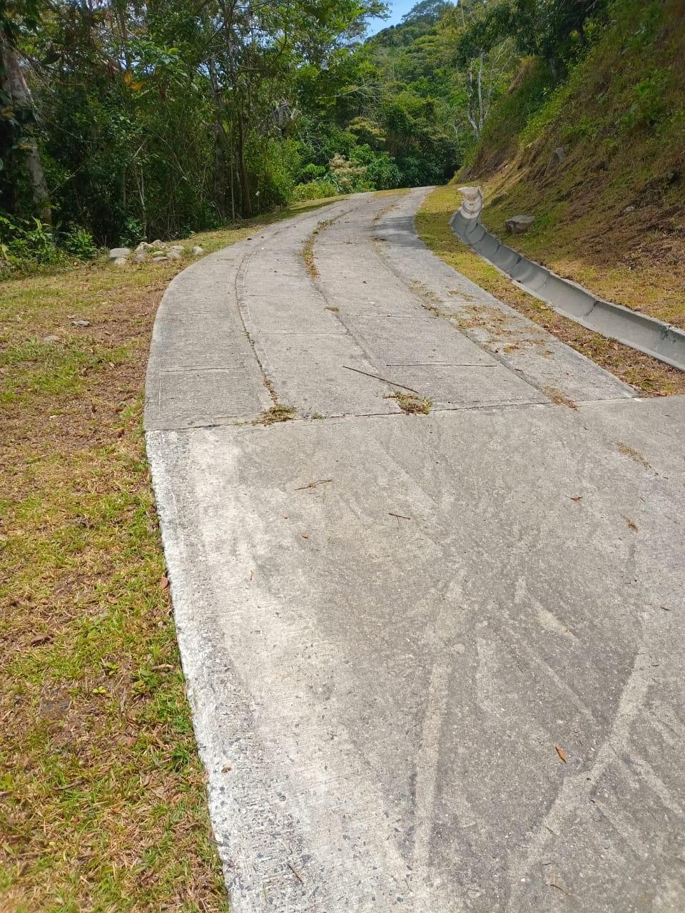 res-00005f7e-04.jpg