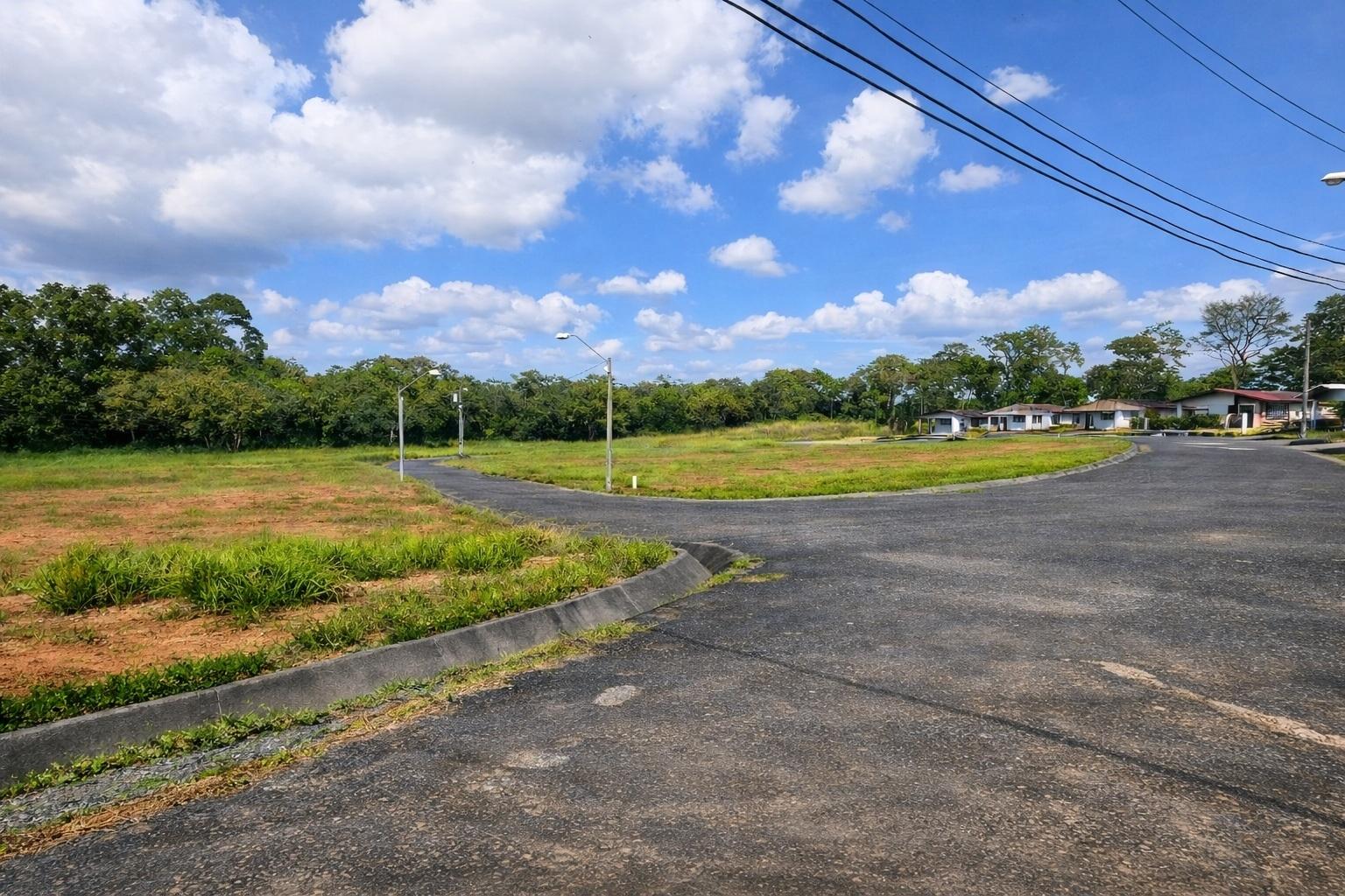 res-00005f96-04.jpg