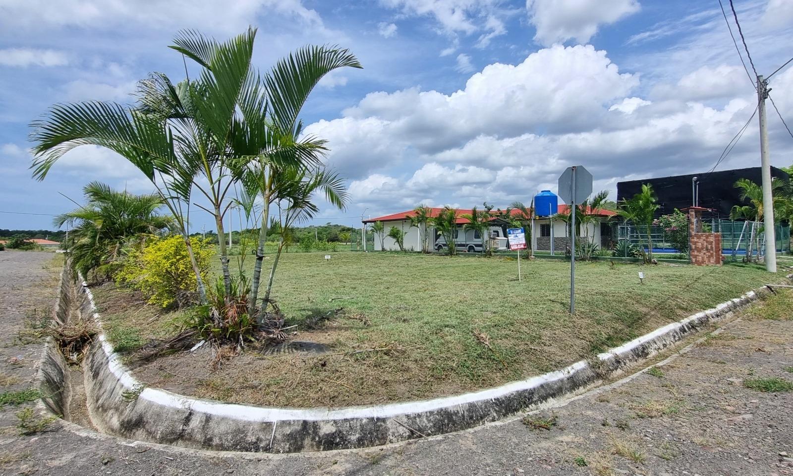 res-00005fa6-06.jpg