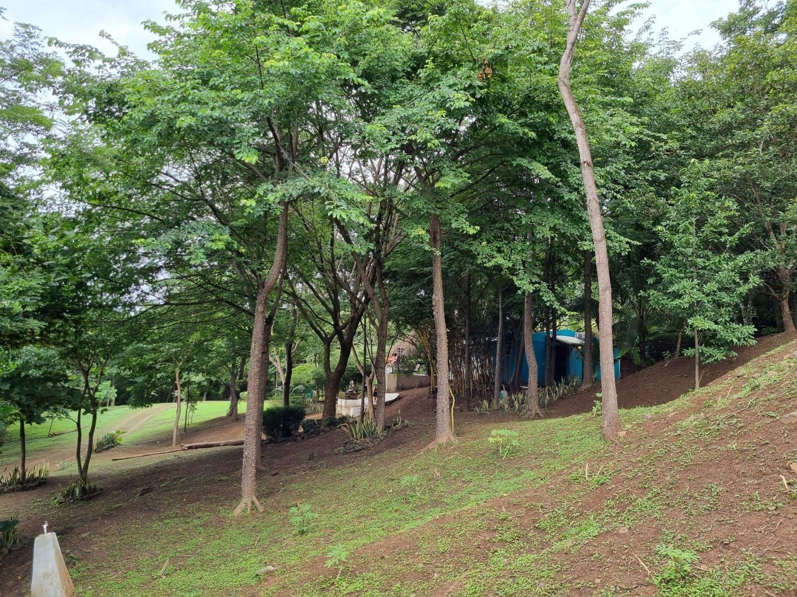 res-00005fbf-03.jpg